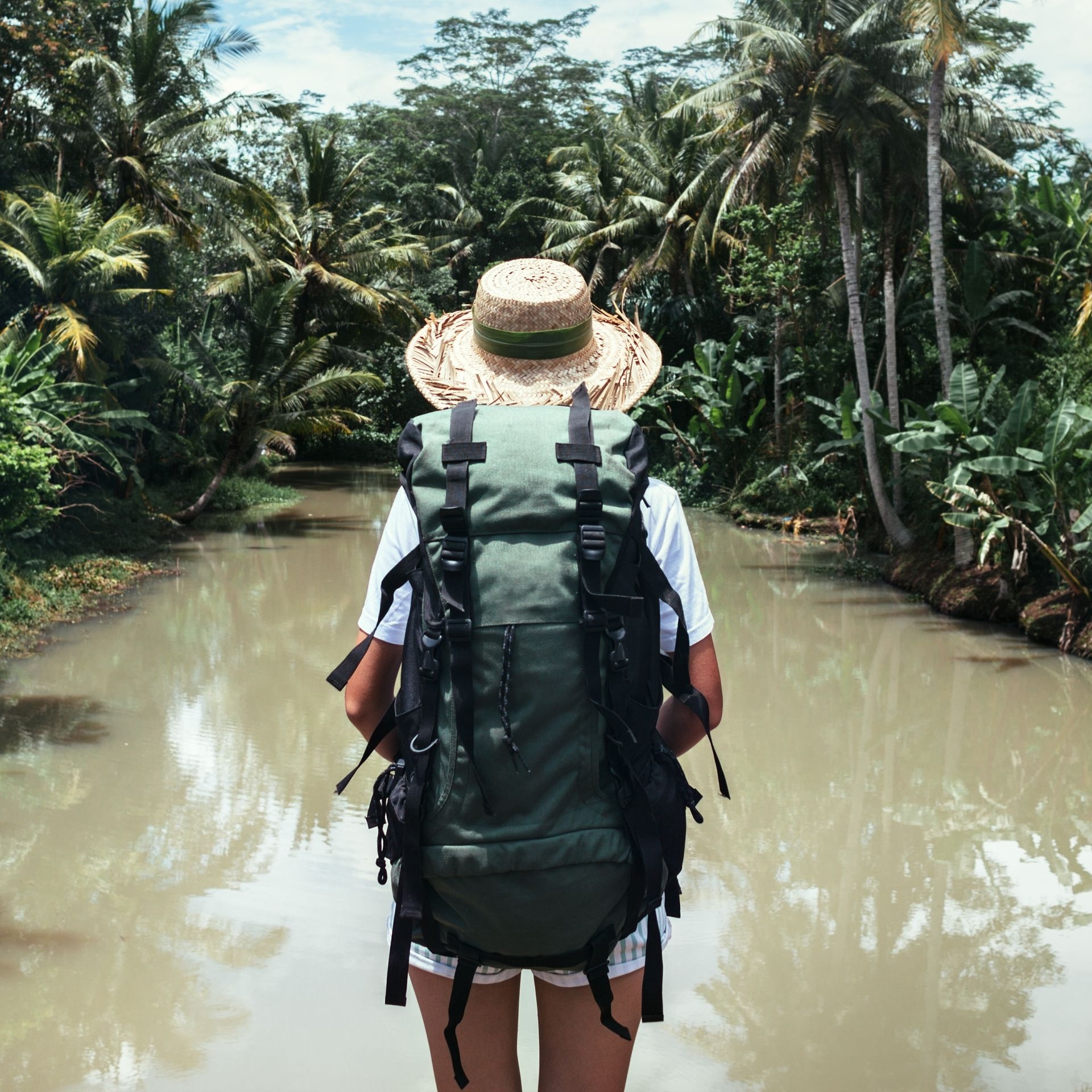 Backpacking: A journey to a tropical forest, An extreme sports activity. 1920x1920 HD Wallpaper.
