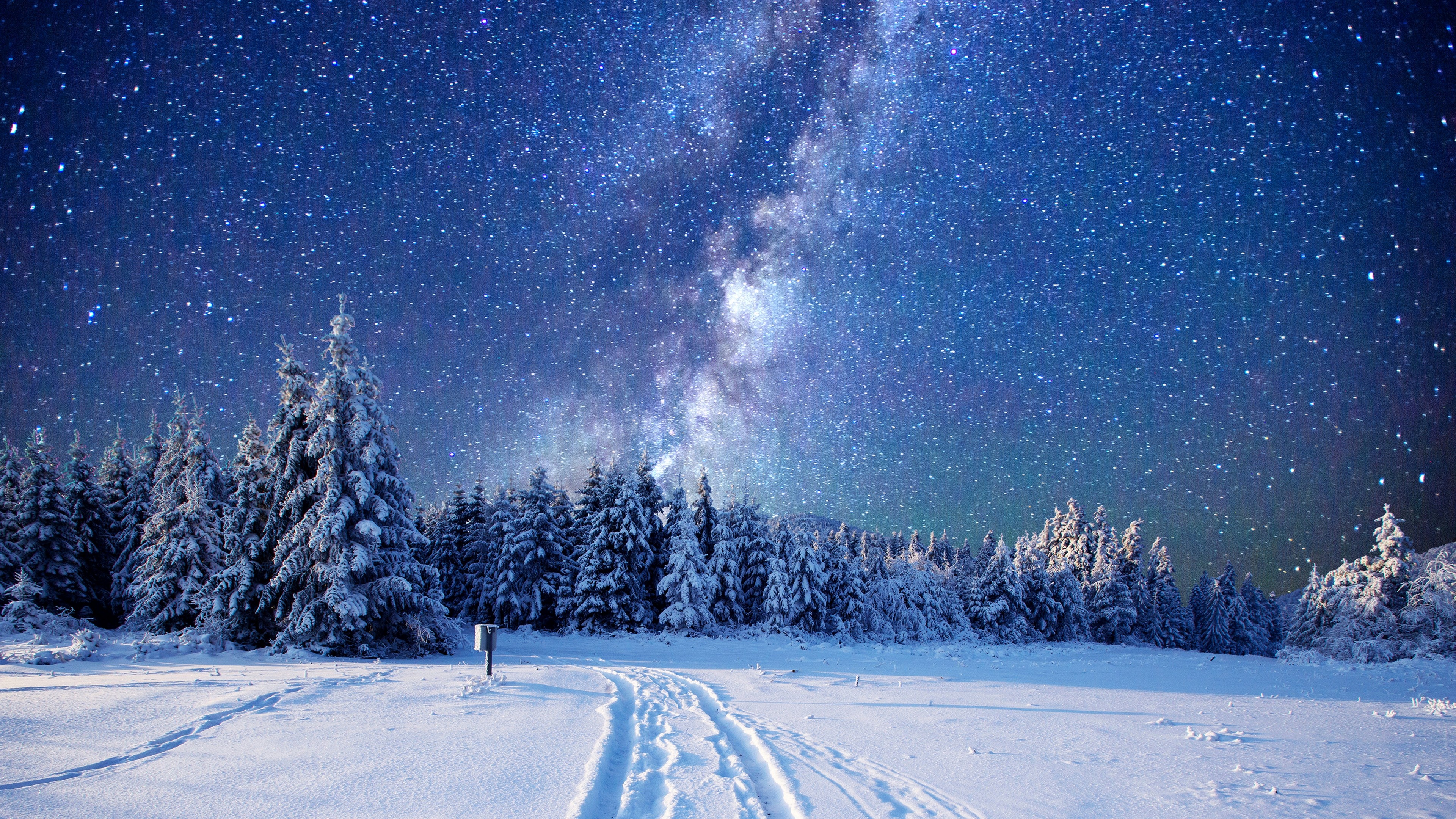 Snow, Winter forest, Night sky, Serene beauty, 3840x2160 4K Desktop