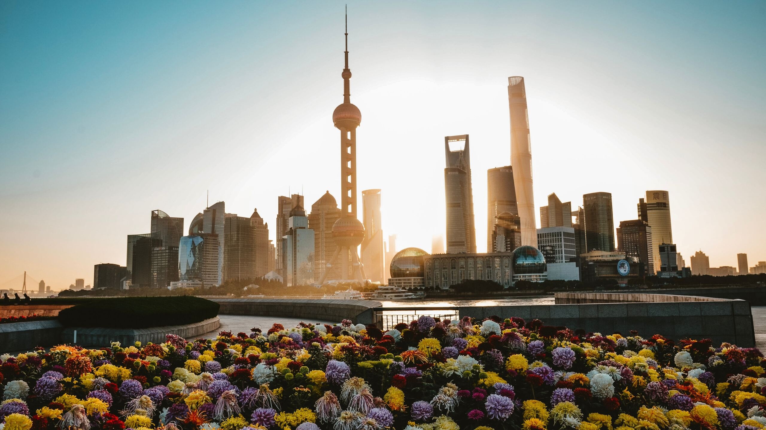 Shanghai Skyline, Waterfront beauty, Cityscape in 1440p, Urban reflections, 2560x1440 HD Desktop