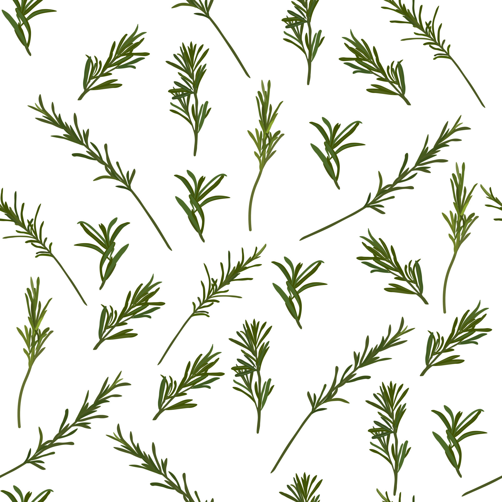 Rosemary seasoning, Fresh herbs, Green leaves, Natural patterns, 1920x1920 HD Phone