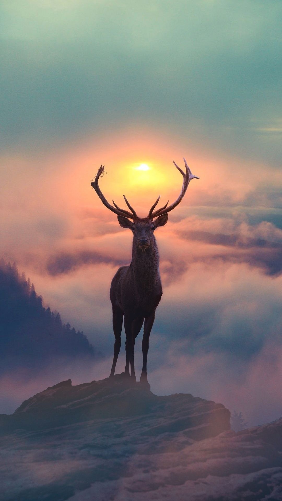 Awesome deer wallpaper, Stunning image, Wildlife's grace, Nature's masterpiece, 1080x1920 Full HD Handy