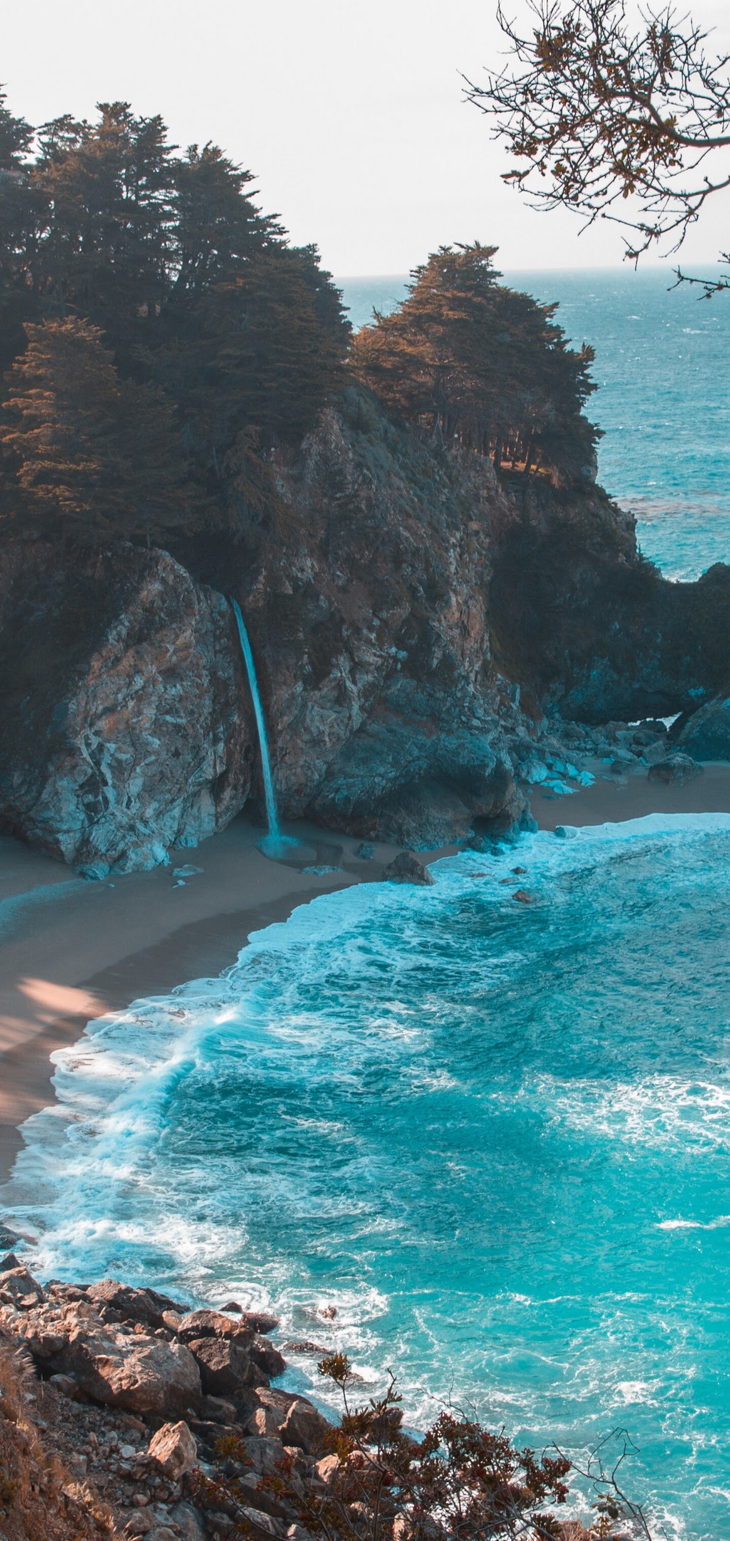 Island: Beach, Nature, Seashore, Scenery, Ecoregion. 1440x3040 HD Wallpaper.