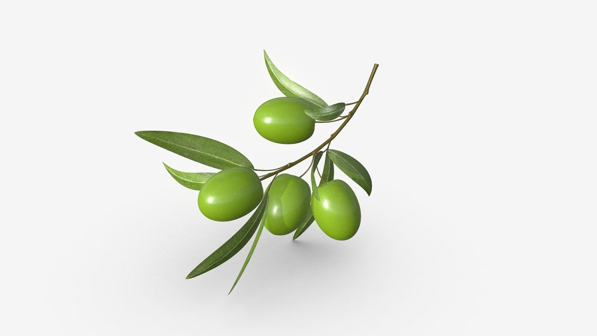 Olive: A fruit, coming from the Olea europea tree, Branch, Evergreen. 1920x1080 Full HD Background.
