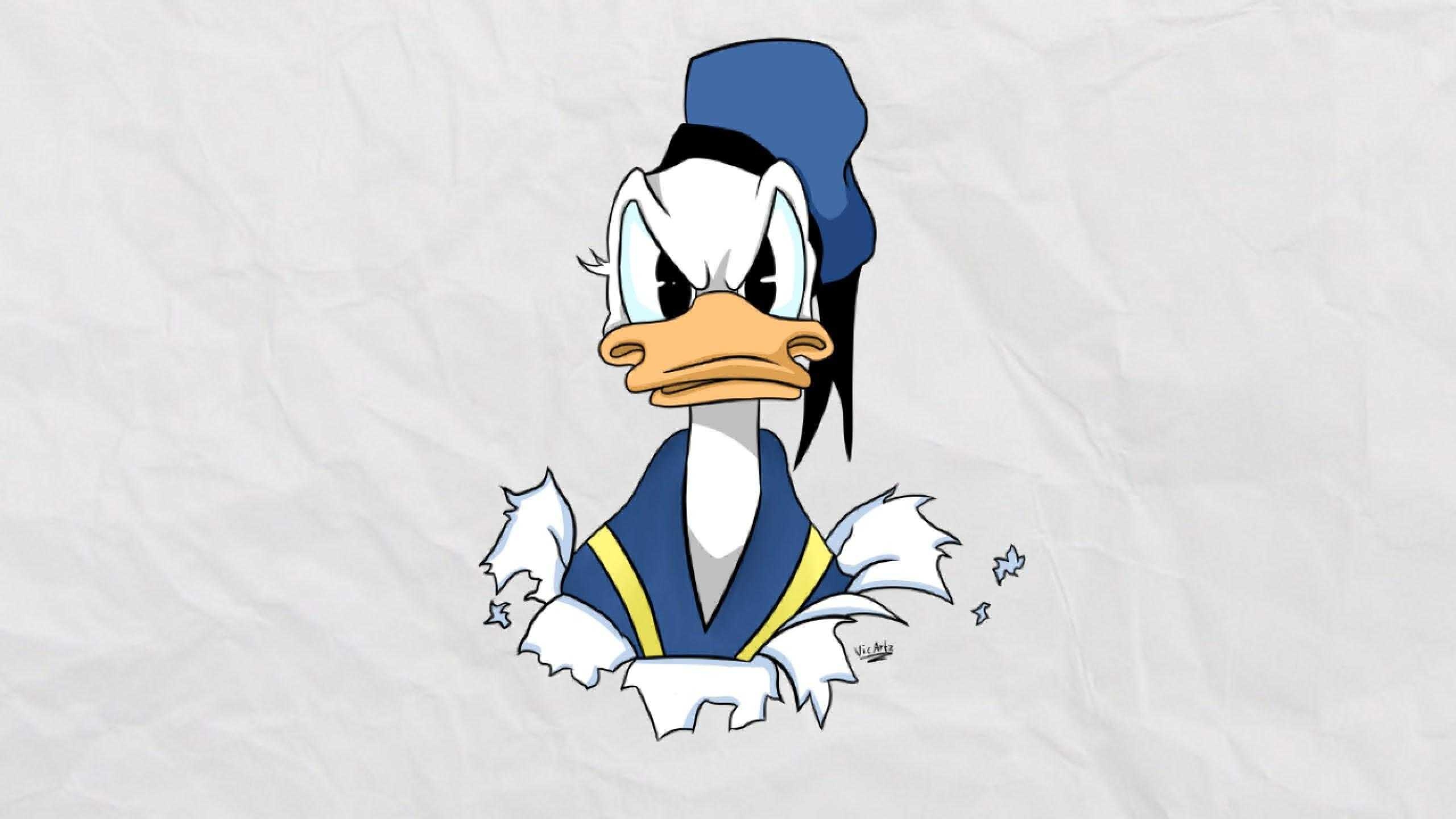 Donald Duck: The most published comic book character, Appeared in more films than any other Disney character. 2560x1440 HD Wallpaper.