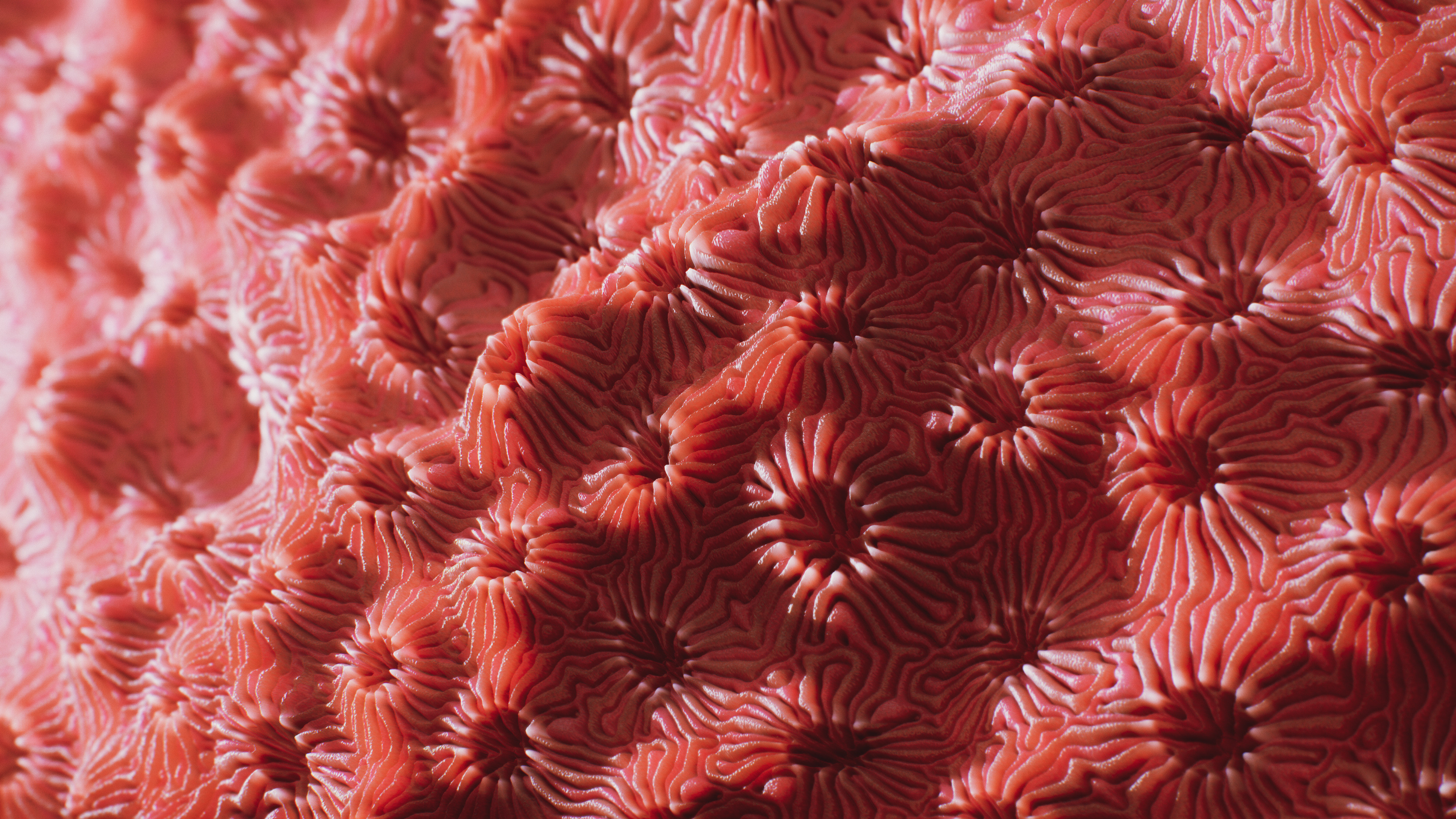 Coral pavona artwork, Substance source inspiration, Creative expression, Coral-inspired designs, 3840x2160 4K Desktop
