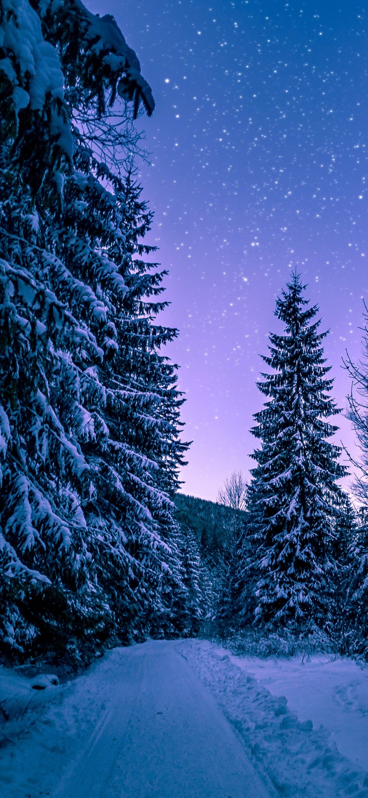 Snowy trees, Winter wonderland, Frozen serenity, Nighttime charm, 1290x2780 HD Phone