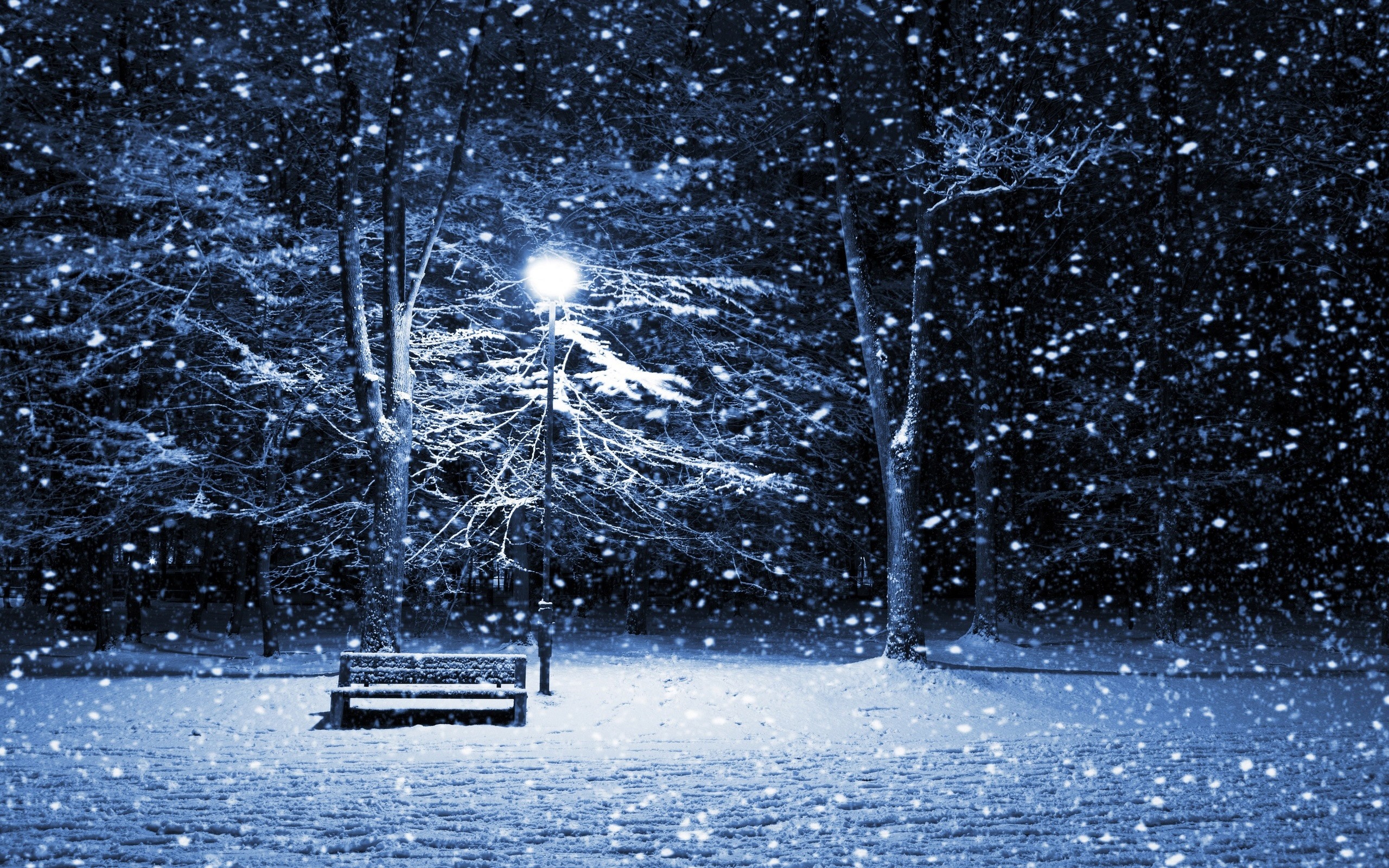 Frozen beauty, Bench in snow, Winter's grasp, Quiet solitude, 2560x1600 HD Desktop