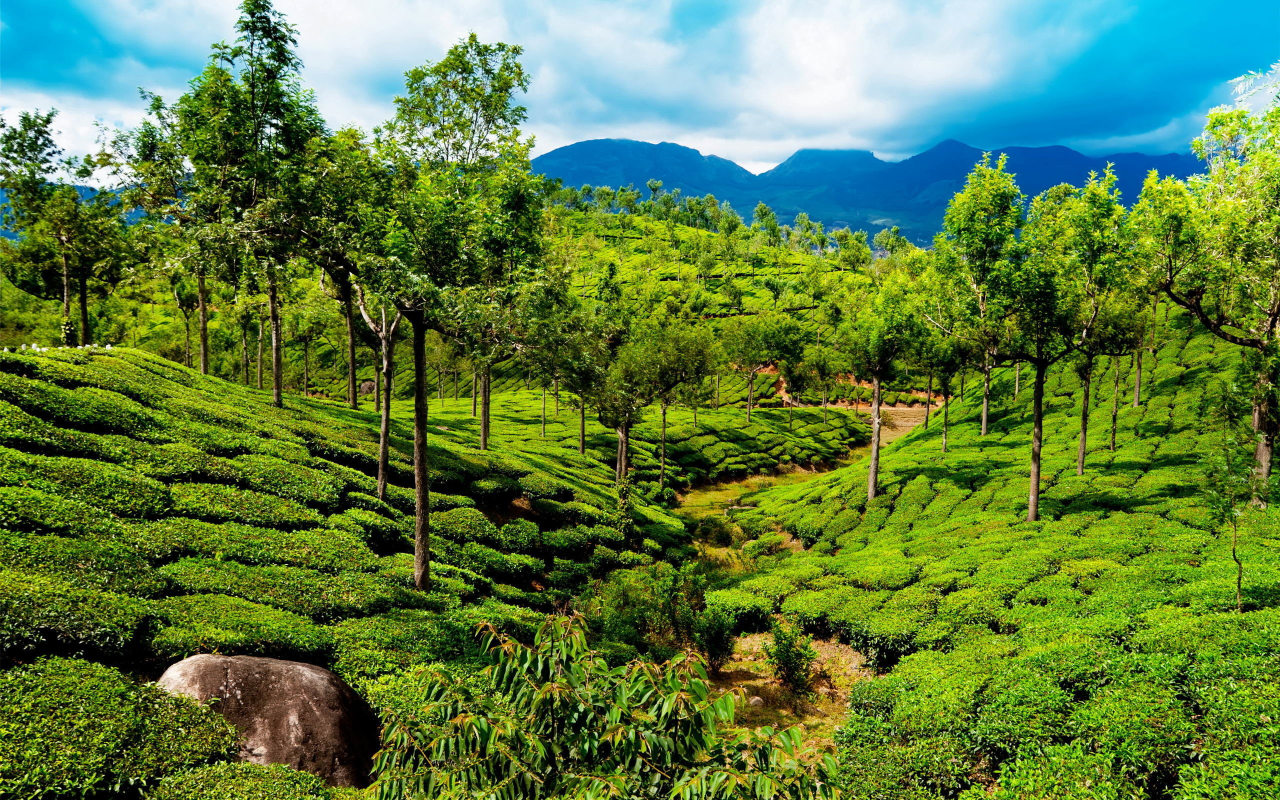Kerala wallpapers, Breathtaking images, Scenic beauty, Nature's canvas, 2560x1600 HD Desktop
