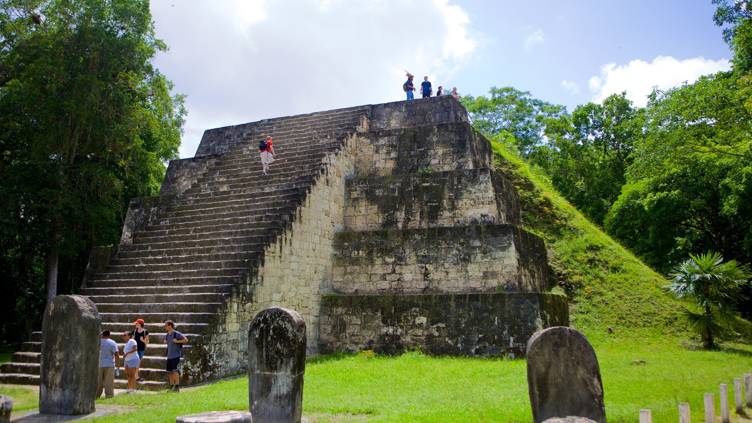 Erkundung der alten Maya-Ruinen im Tikal-Nationalpark, 2560x1440 HD Desktop