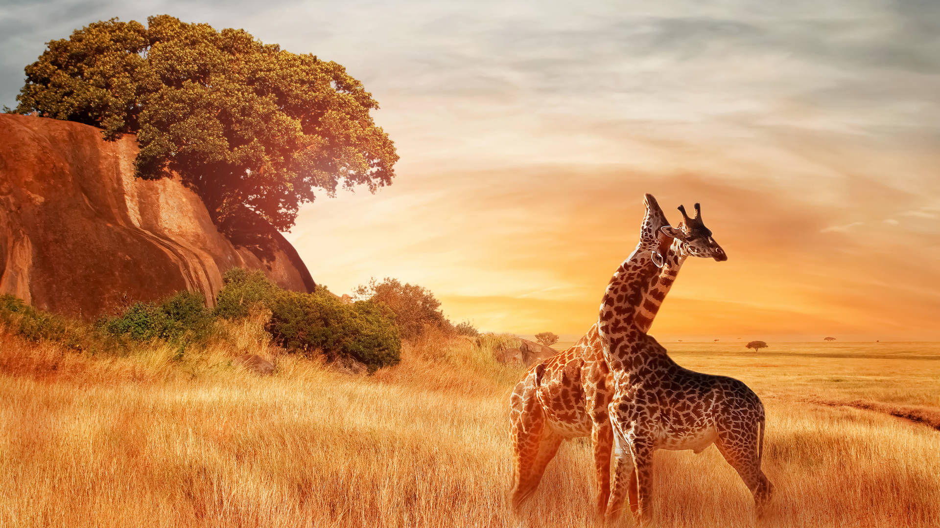 Serengeti National Park, Tanzania travel, Wildlife encounters, African dream islands, 1920x1080 Full HD Desktop
