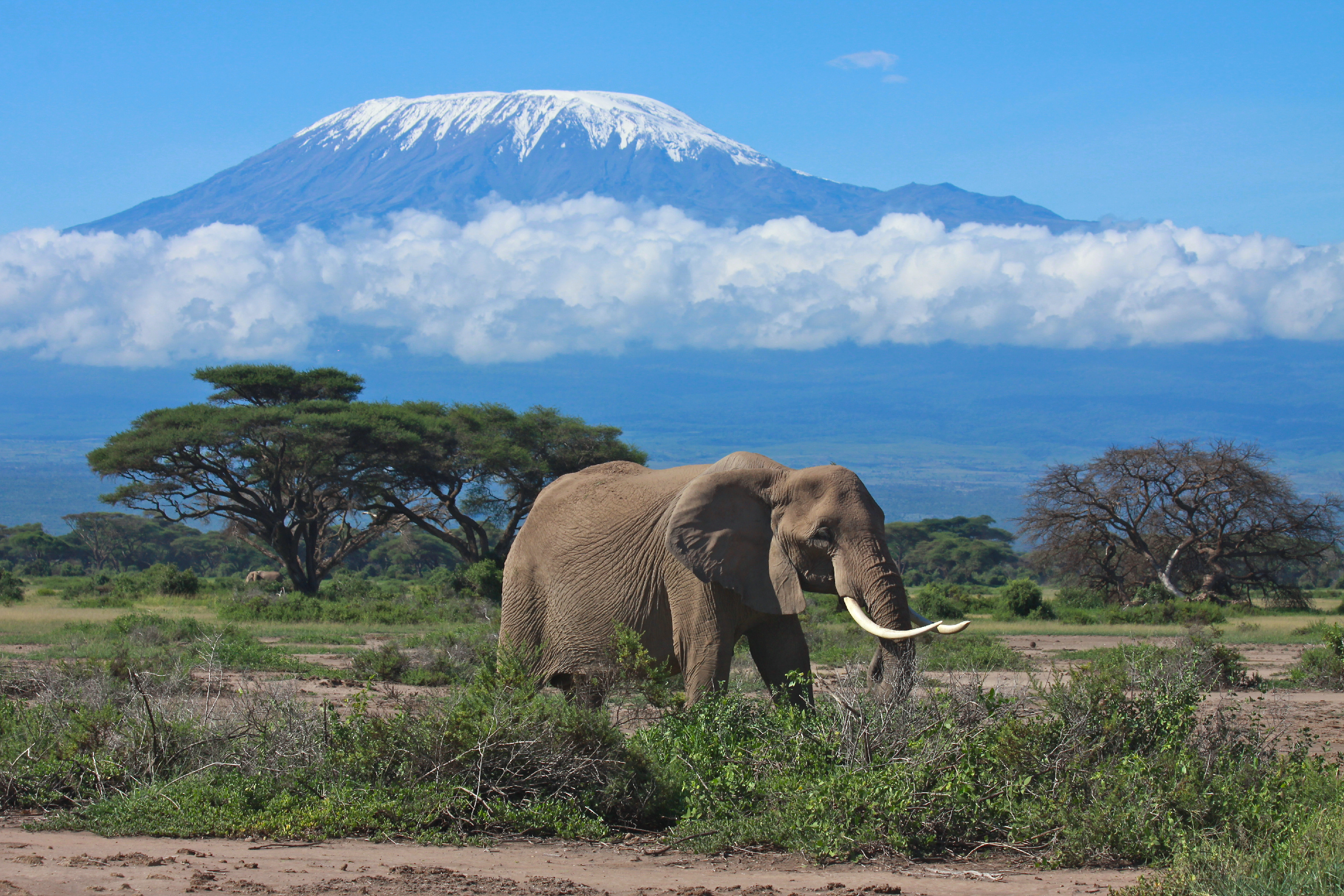 Mount Kilimanjaro, Stunning photos, Mountain wallpapers, Nature's beauty, 2860x1910 HD Desktop