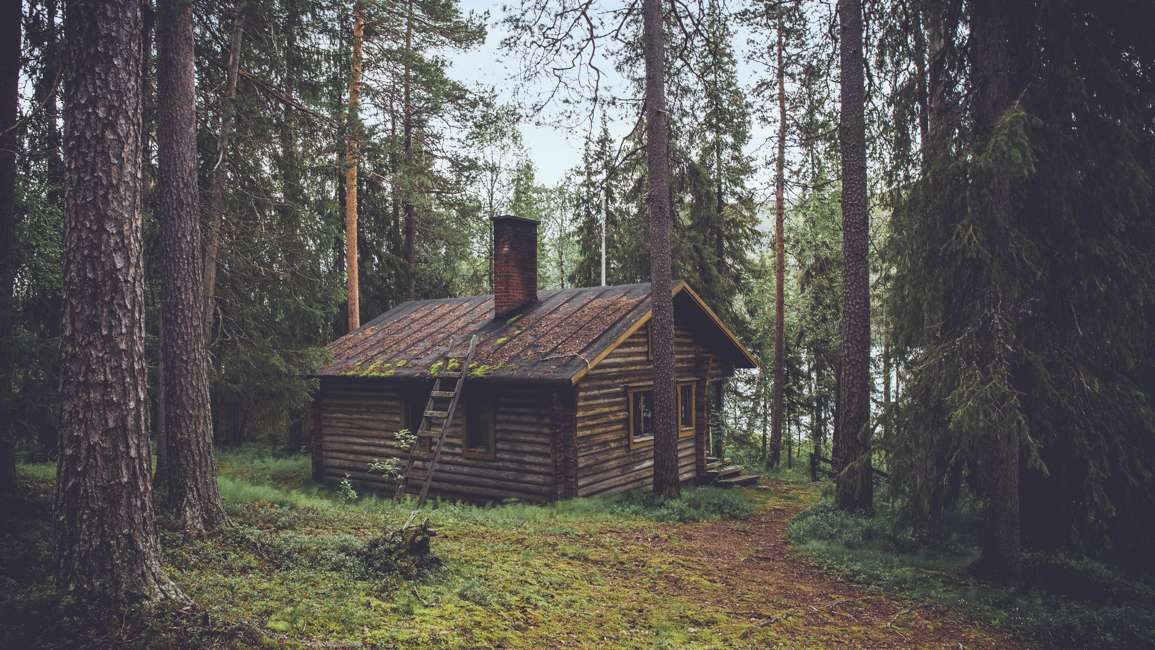 Log Cabin, Woodsy getaway, Nature's sanctuary, Cabin in the woods, Peaceful solitude, 3840x2160 4K Desktop
