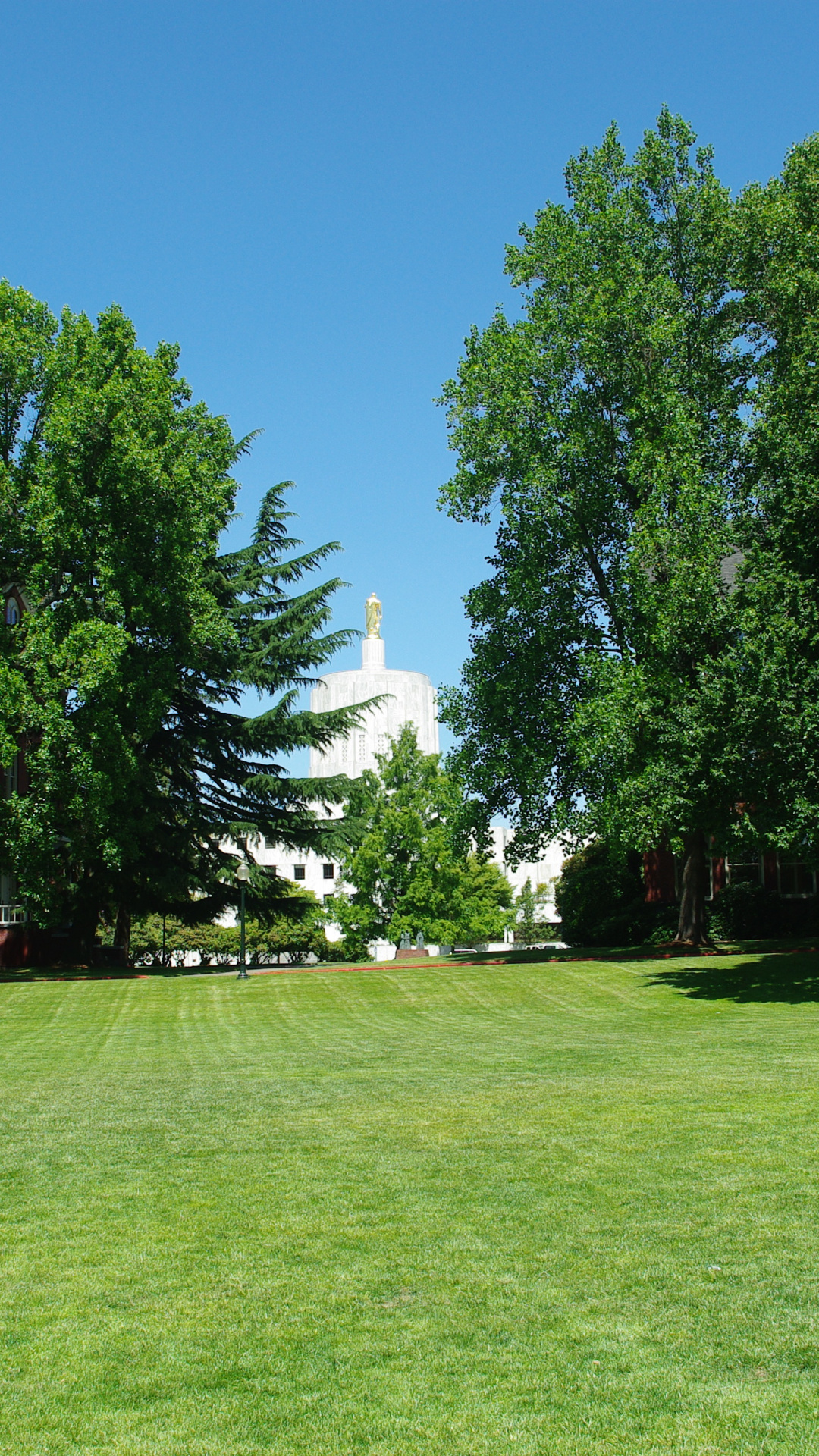 Willamette University, Capitol in background, Salem Oregon, Travels, 1080x1920 Full HD Phone