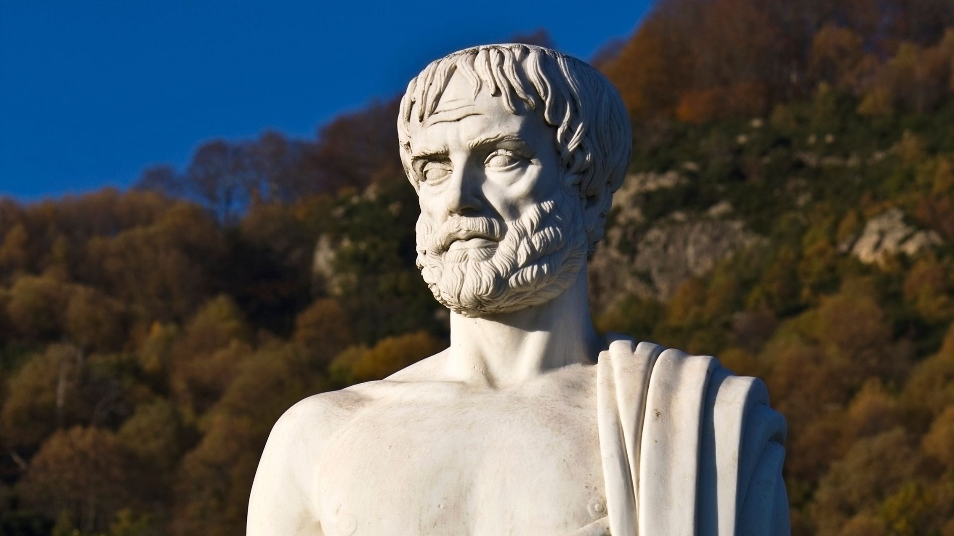 Aristotle, Knowledge acquisition, Educational resources, Language learning, 1920x1080 Full HD Desktop