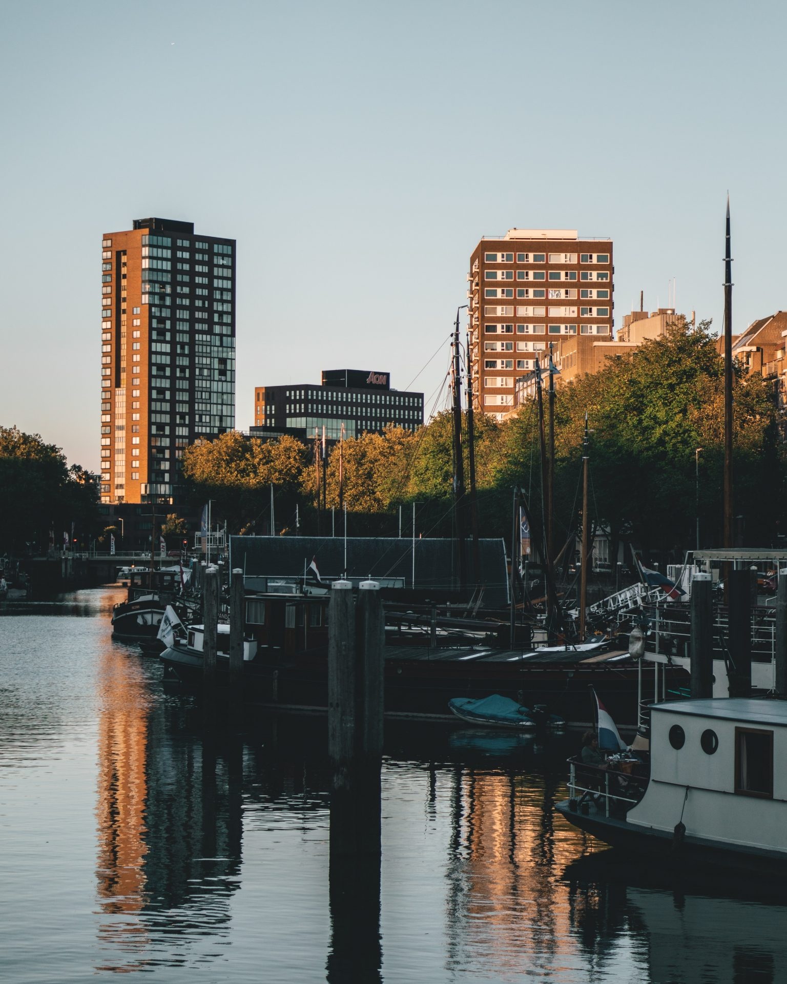 Rotterdam Skyline, Travels, Studium in Rotterdam, Milestone Living, 1540x1920 HD Phone