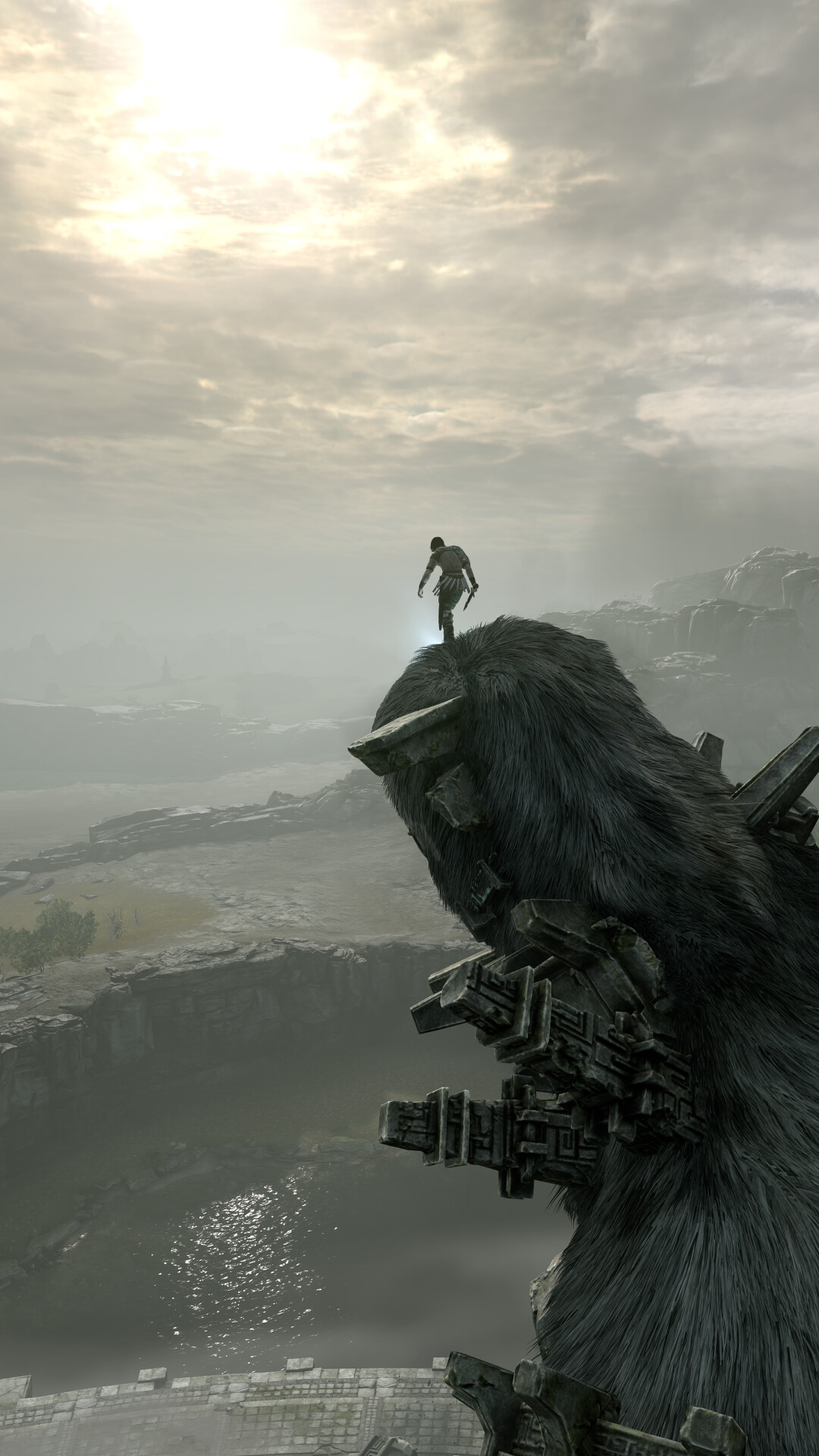 Shadow of the Colossus: A remake of the original game developed by Team Ico. 1080x1920 Full HD Wallpaper.