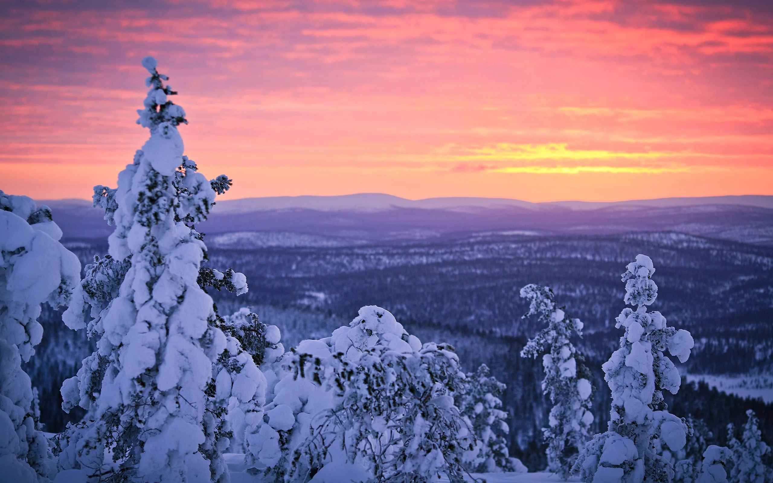 Finland: The country fought Nazi Germany in the Lapland War. 2560x1600 HD Wallpaper.