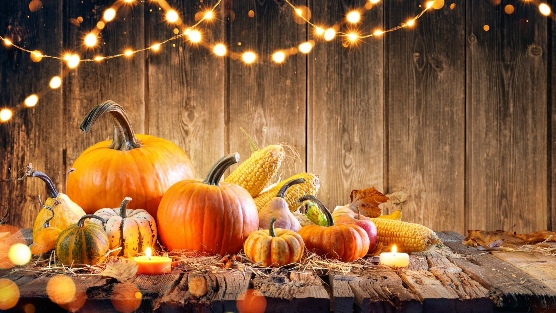 Thanksgiving: Traditional holiday decorations, Pumpkin, Corn. 1920x1080 Full HD Background.