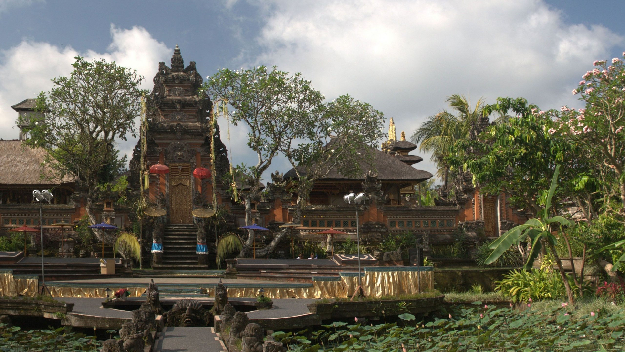 Ubud Rice Terraces, Bali's best, Majestic wallpaper, Natural beauty, 2560x1440 HD Desktop