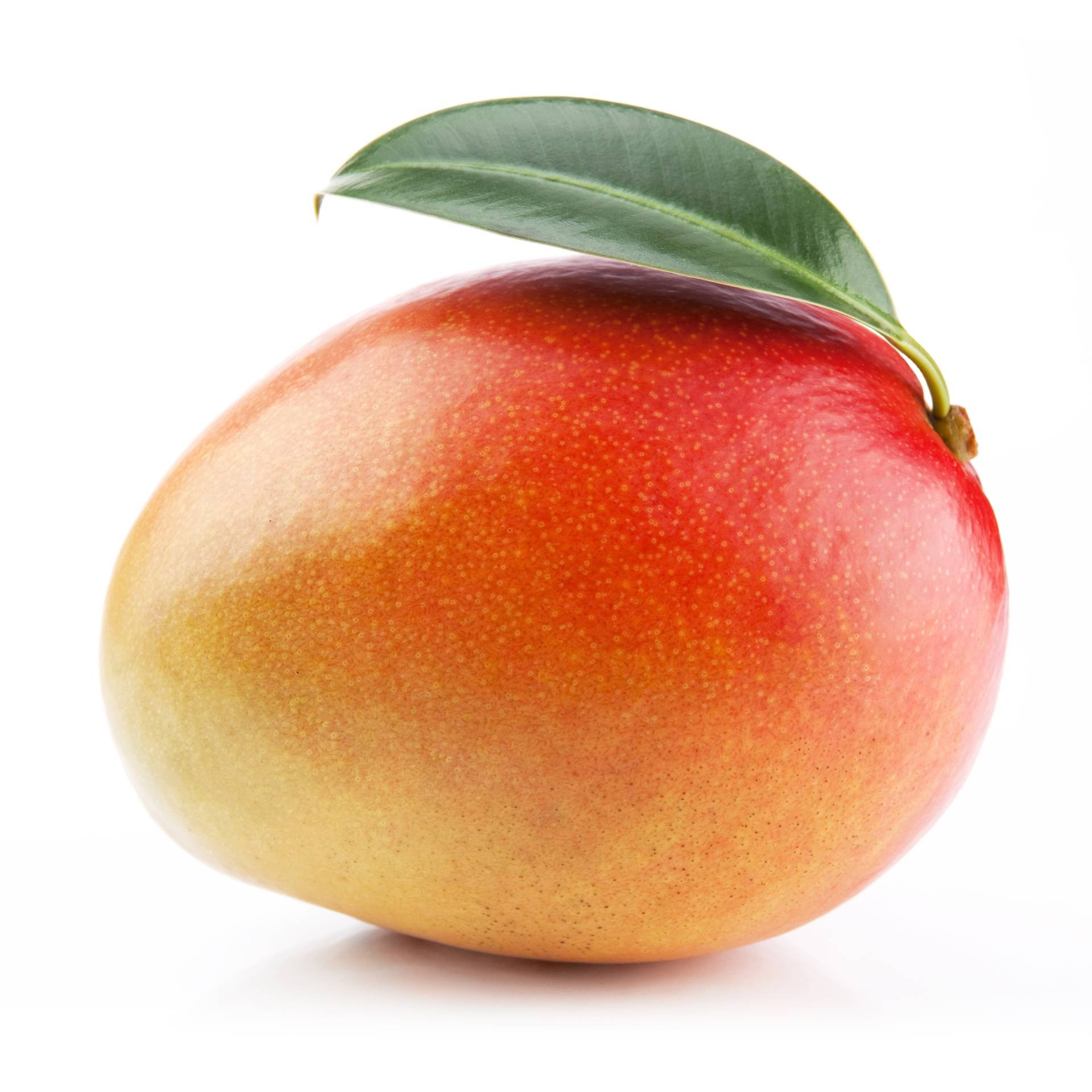 Mango: A type of plant food with a fleshy outer section that surrounds a shell or pit. 1920x1920 HD Background.