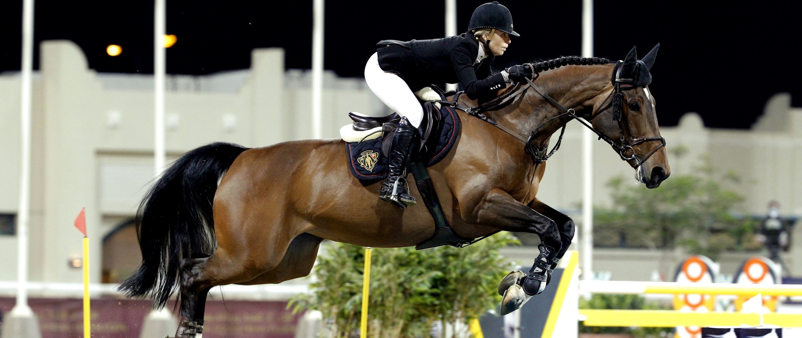 Equestrian Sports: Show jumping, A part of a group of English horse riding events that also includes dressage, eventing, hunters, and equitation. 2560x1080 Dual Screen Background.