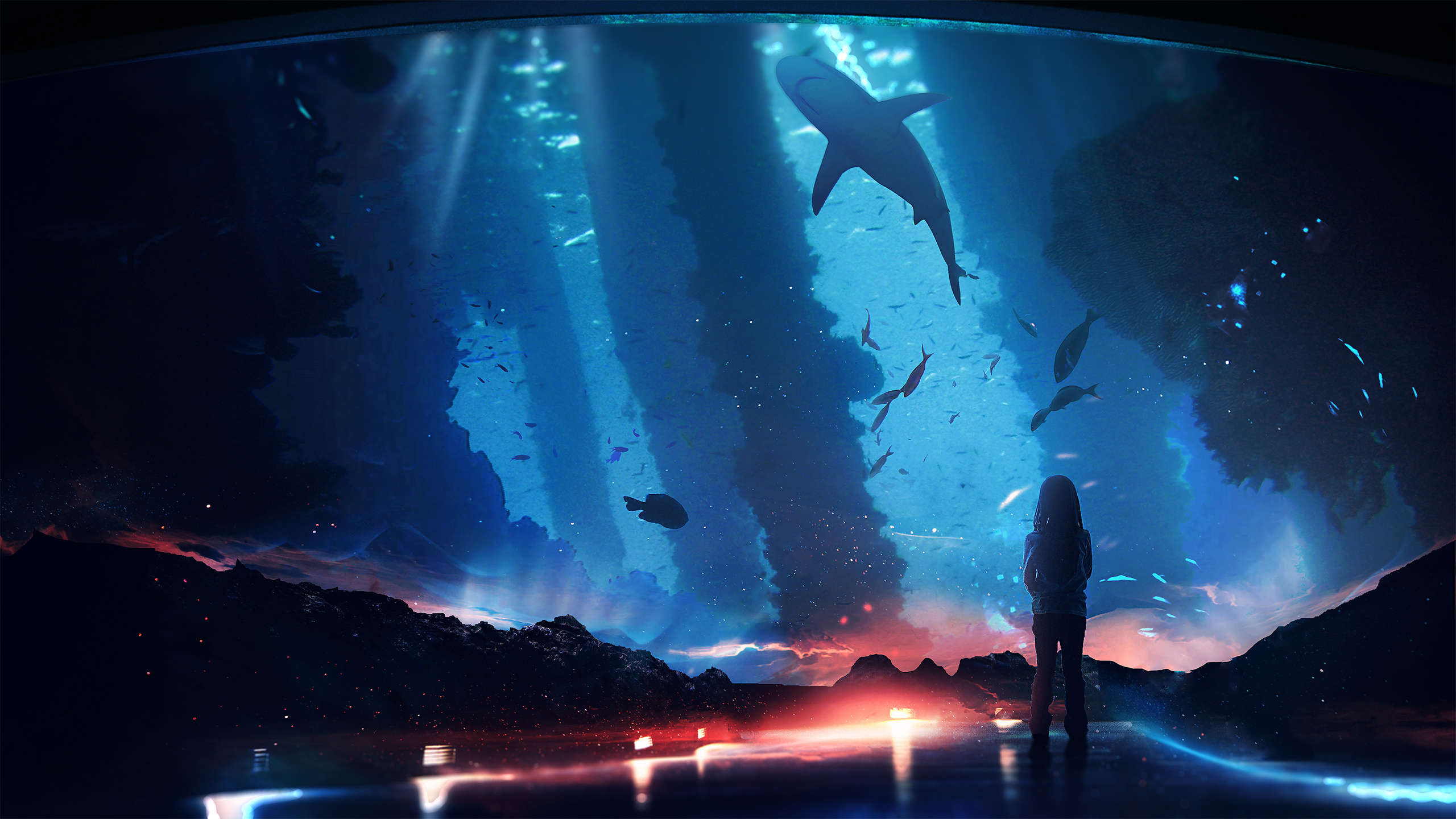 Aquarium, 4K live wallpaper, Aquatic life, Relaxing ambiance, Underwater enchantment, 2560x1440 HD Desktop