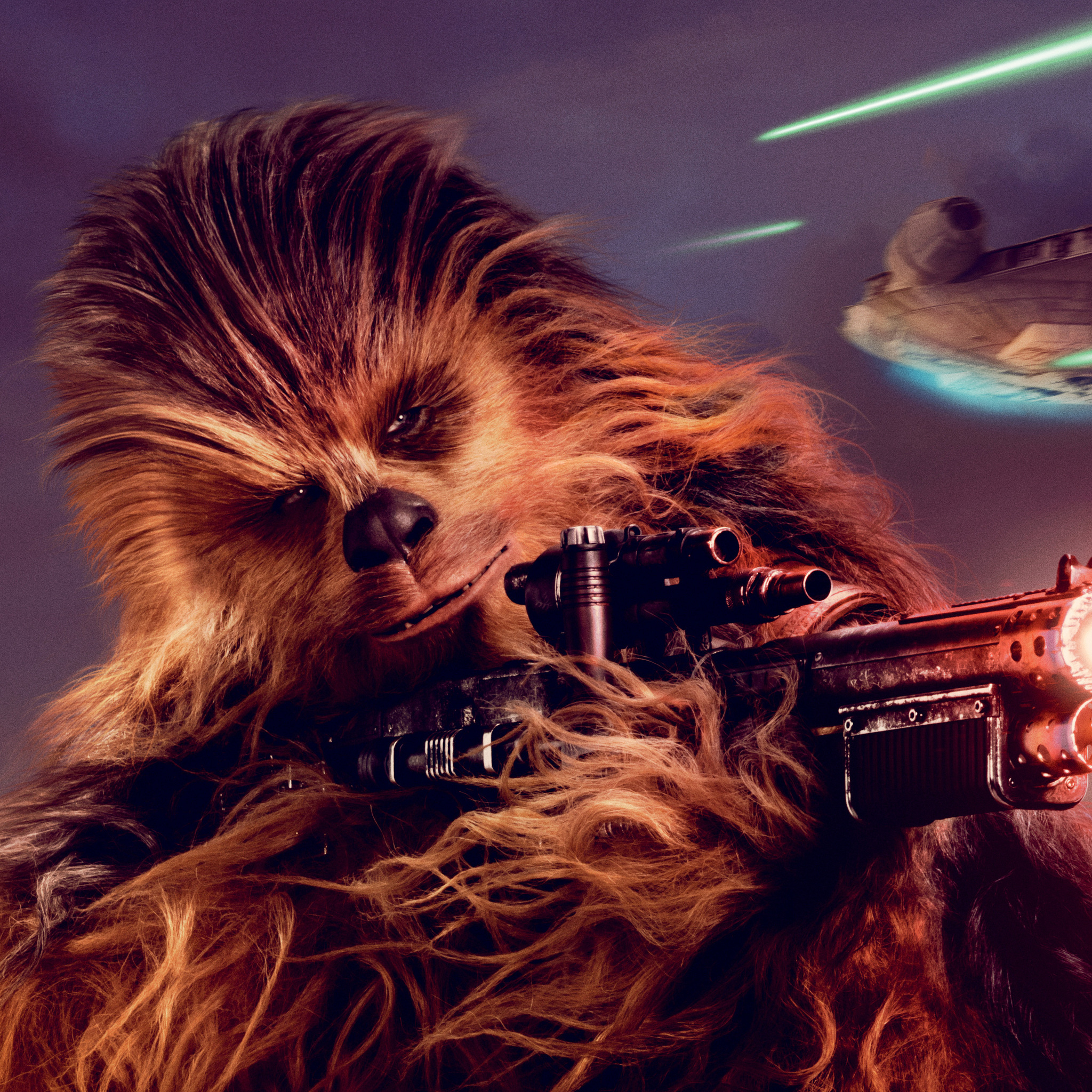 Chewbacca in Solo, 5k iPad Air, High definition, Movie wallpapers, 2050x2050 HD Phone