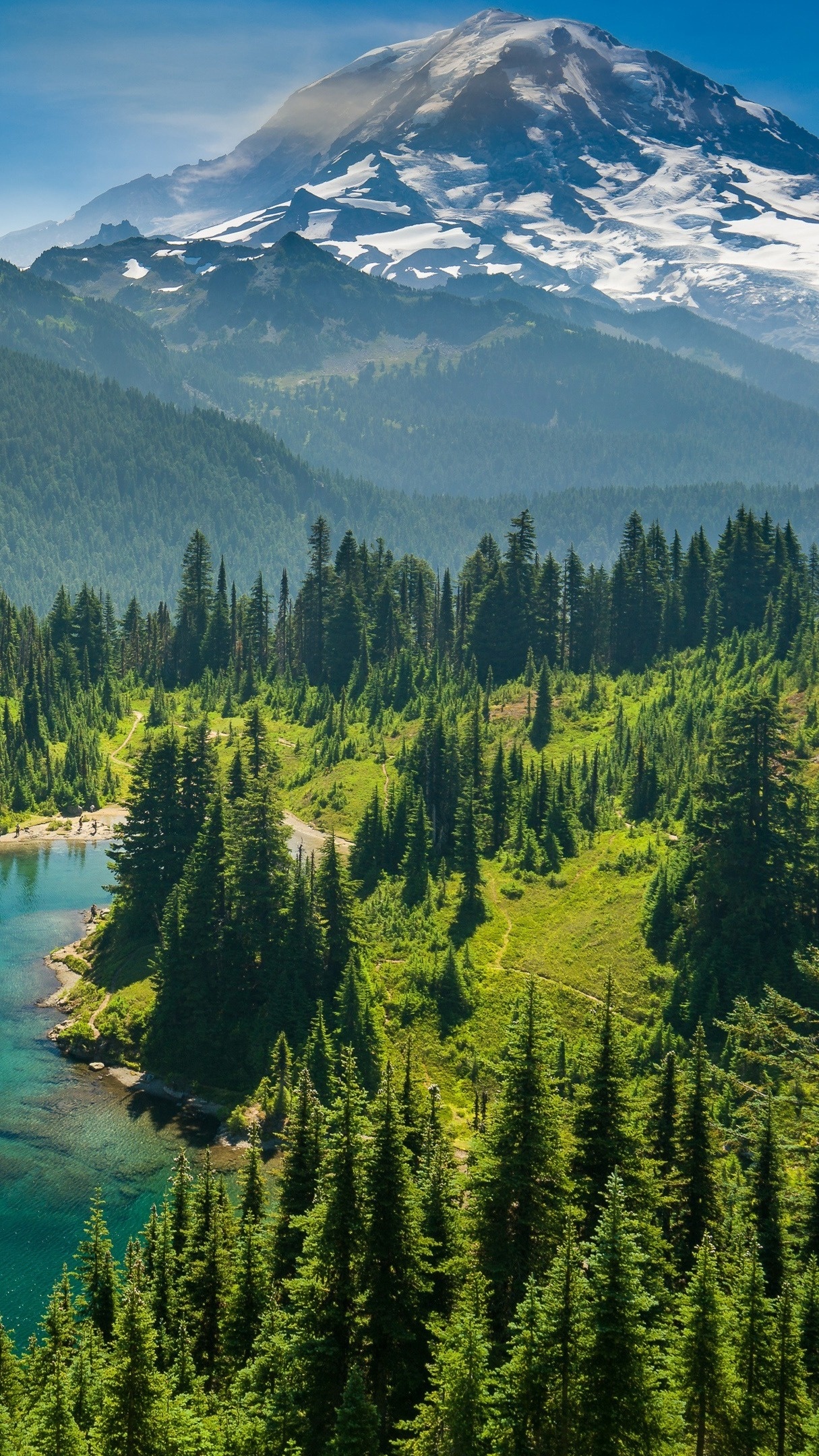 Mount Rainier, National park beauty, Snow-capped peaks, Pristine landscapes, 1220x2160 HD Phone