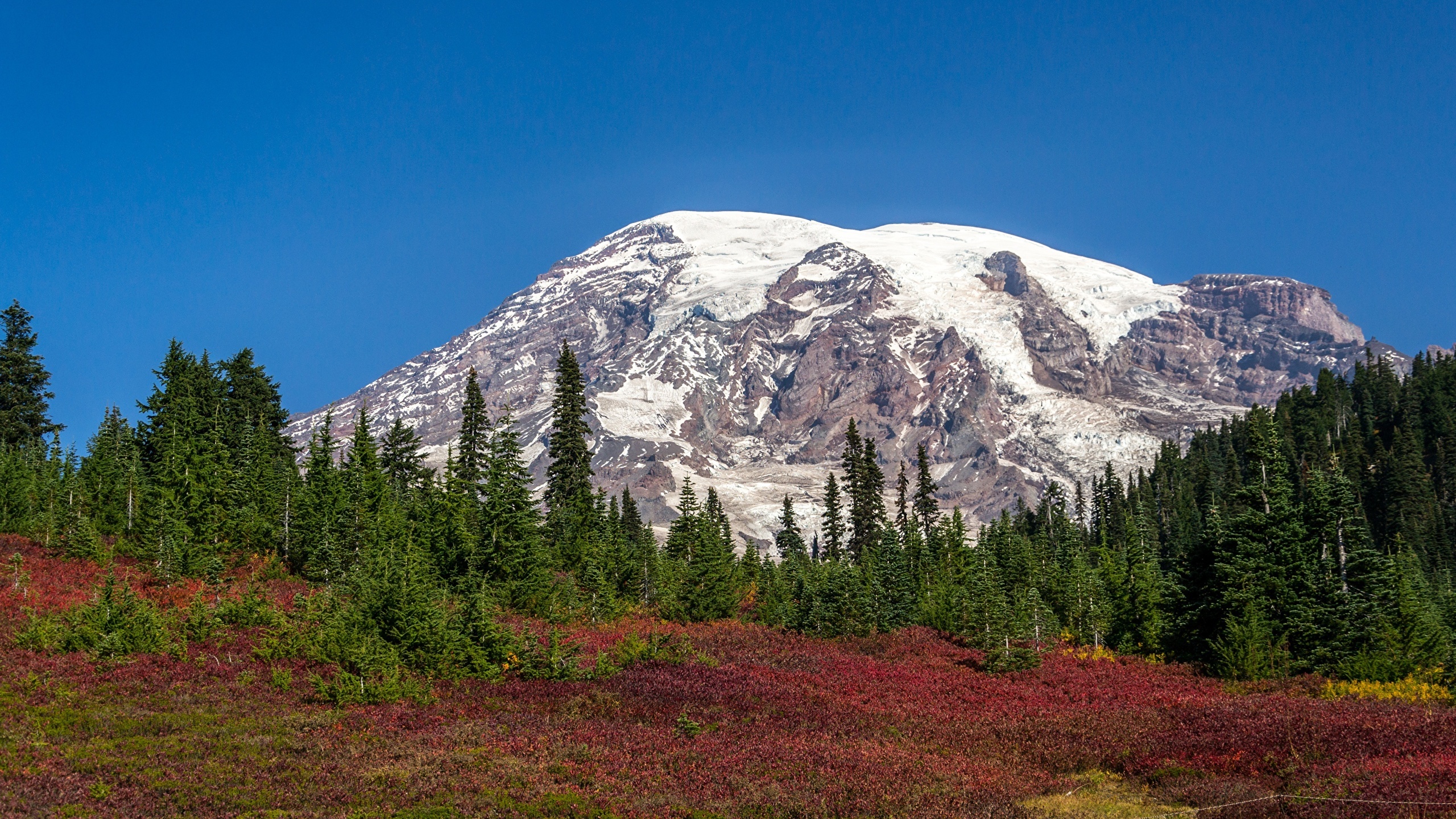 Mount Rainier National Park, Breathtaking landscapes, John Simpson, HD wallpaper, 2560x1440 HD Desktop