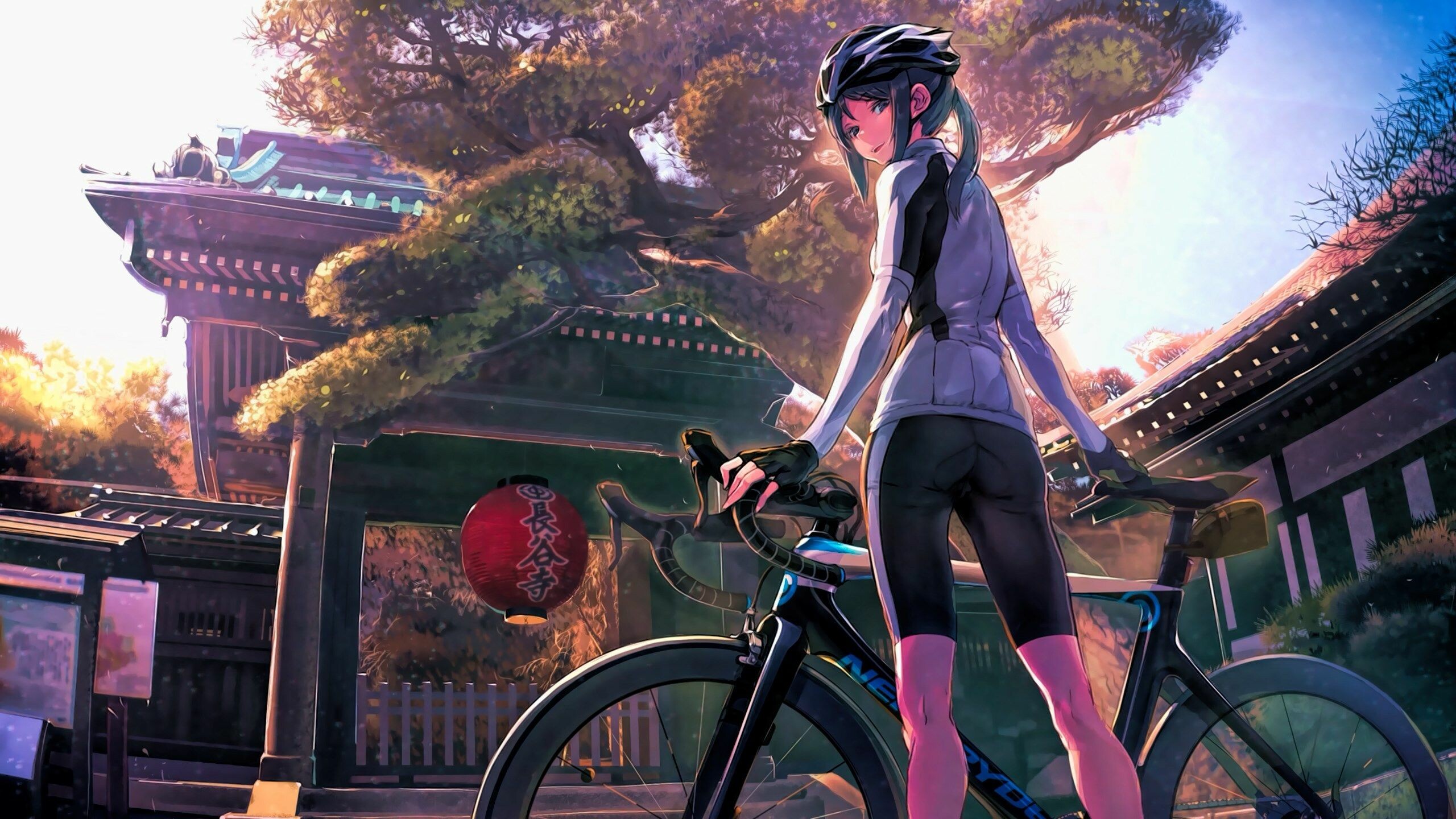 Yowamushi Pedal anime, Captivating cycling wallpapers, Stunning HD backgrounds, Thrilling scenes, 2560x1440 HD Desktop