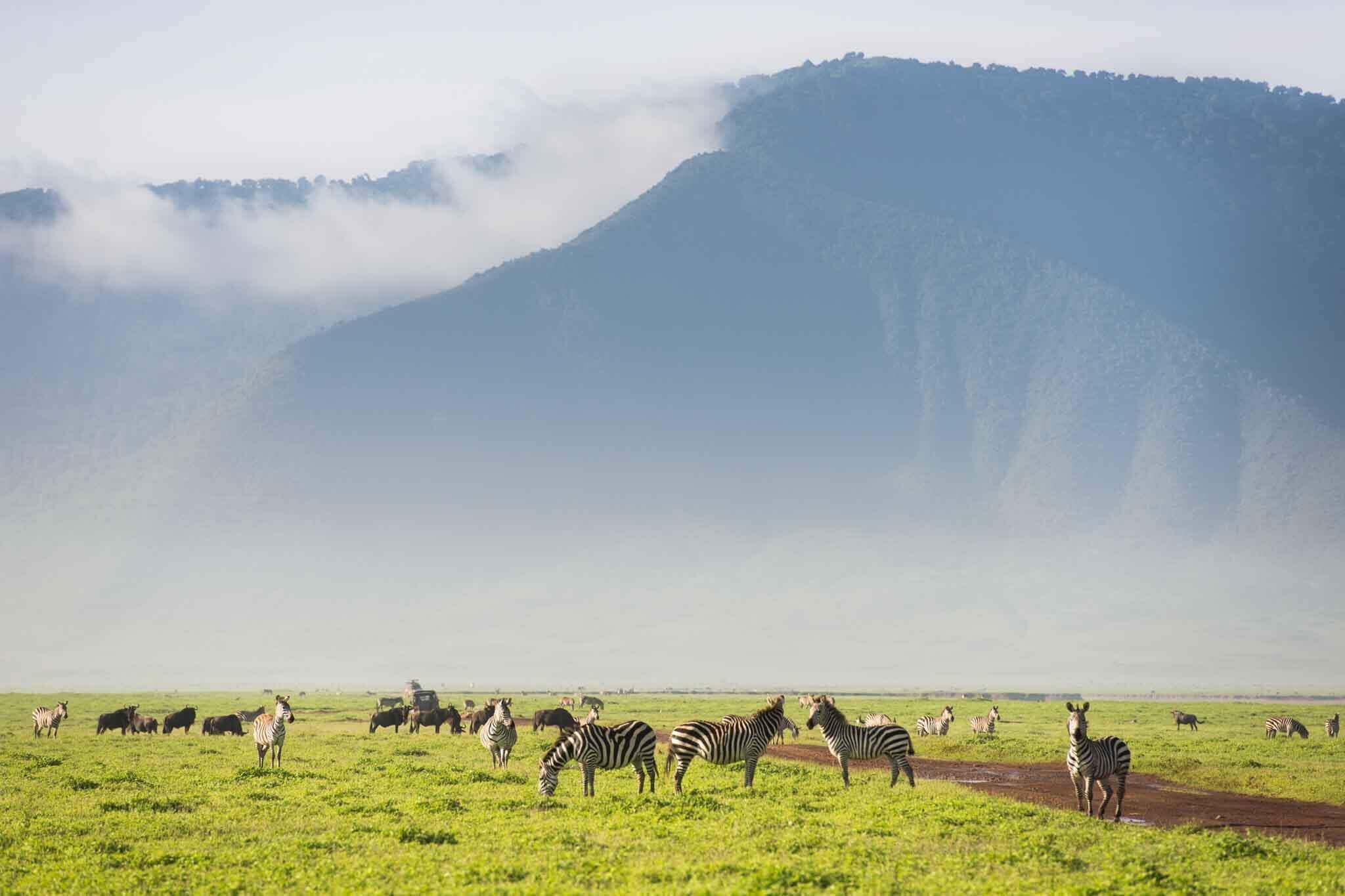 Ngorongoro Crater, Ngorongoro Conservation Area, Tanzania, Arusha Trips, 2050x1370 HD Desktop