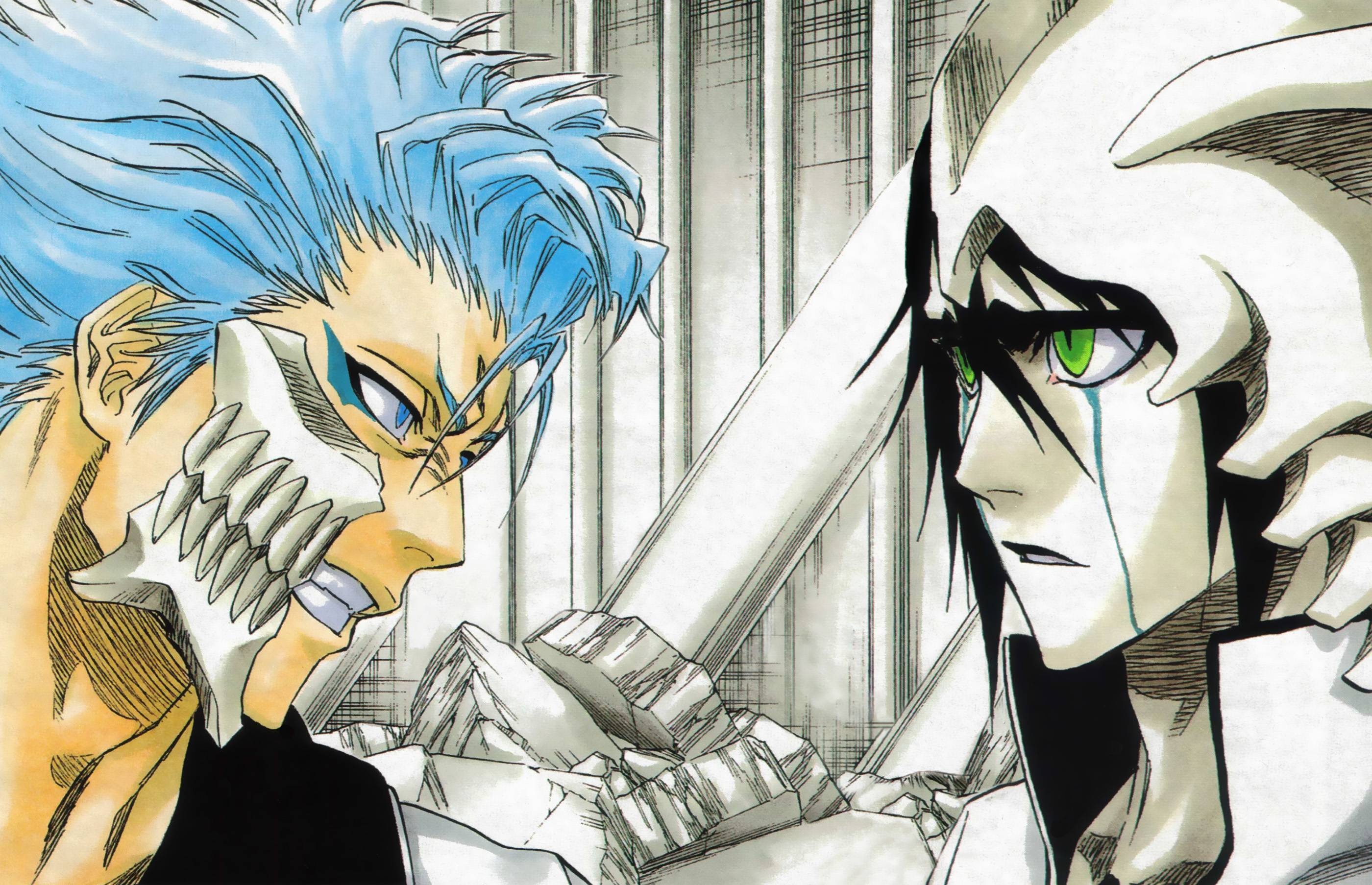 Grimmjow Jaggerjack: A highly skilled fighter, able to temporarily imprison the more powerful Ulquiorra in his Caja de Negacion. 2800x1810 HD Background.