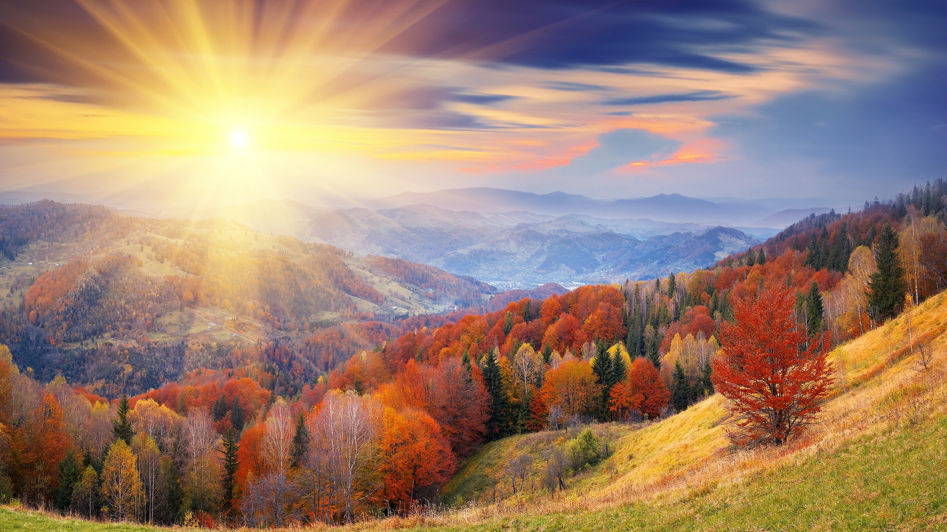 Autumn: Beautiful fall foliage, Landscape, Nature. 3840x2160 4K Wallpaper.