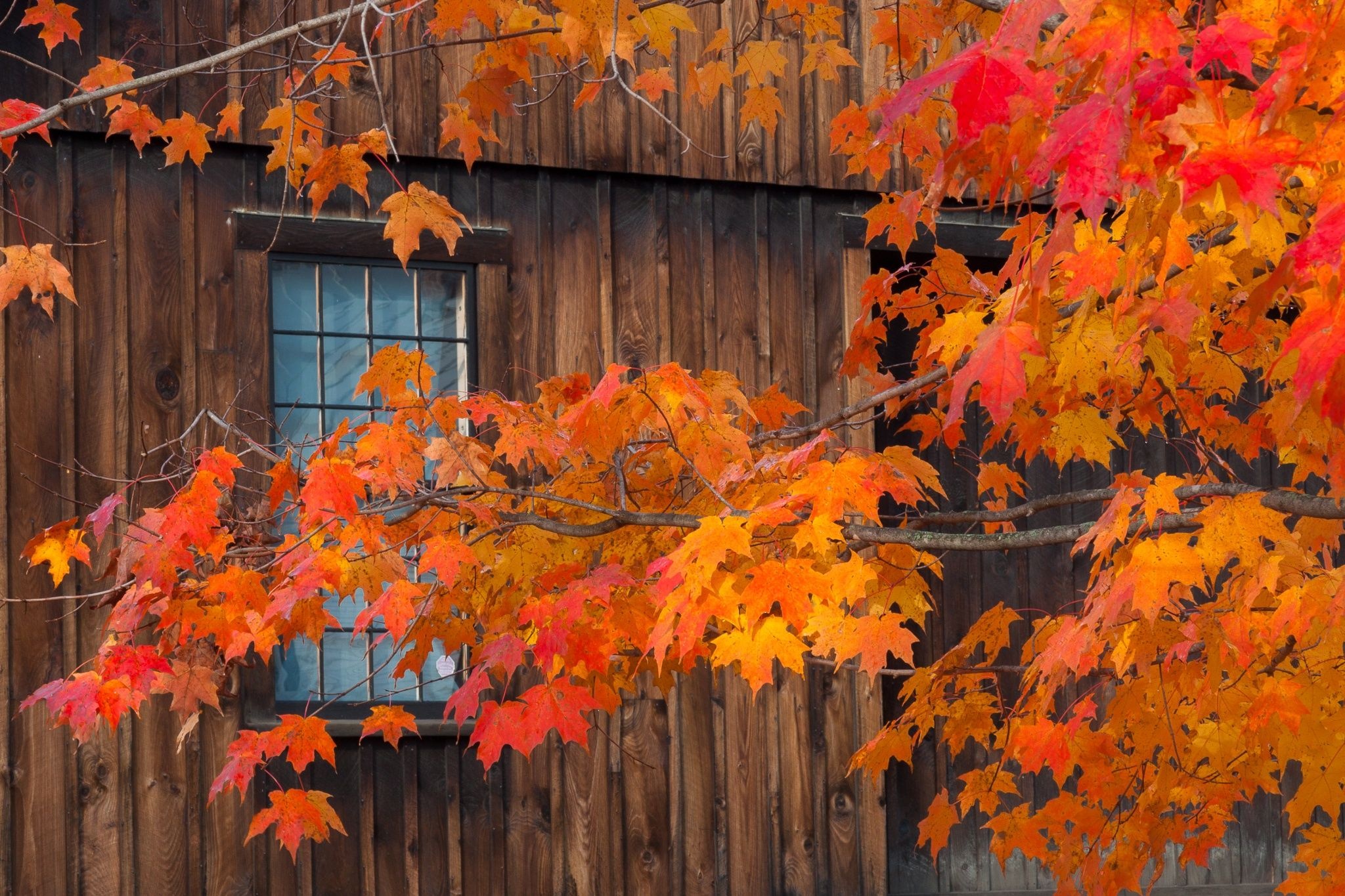 Autumn barn, Kent McFarland, Autumn tree branch, Autumn cozy, 2050x1370 HD Desktop