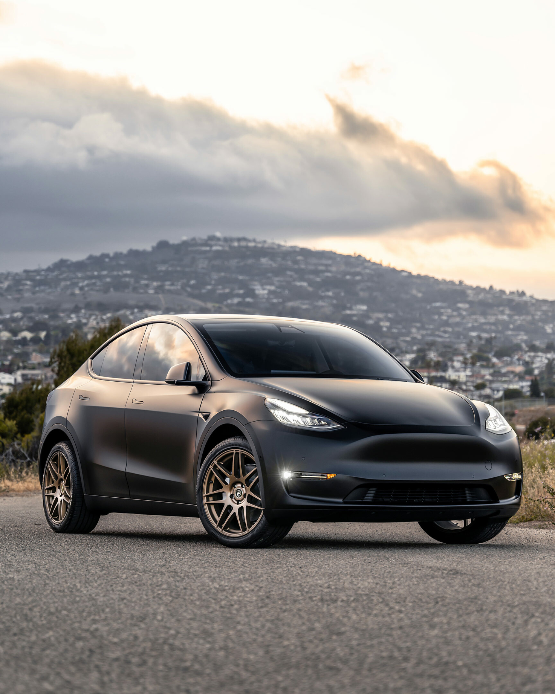 Tesla Model Y: The Long Range RWD have been canceled in February 2021. 1920x2400 HD Wallpaper.