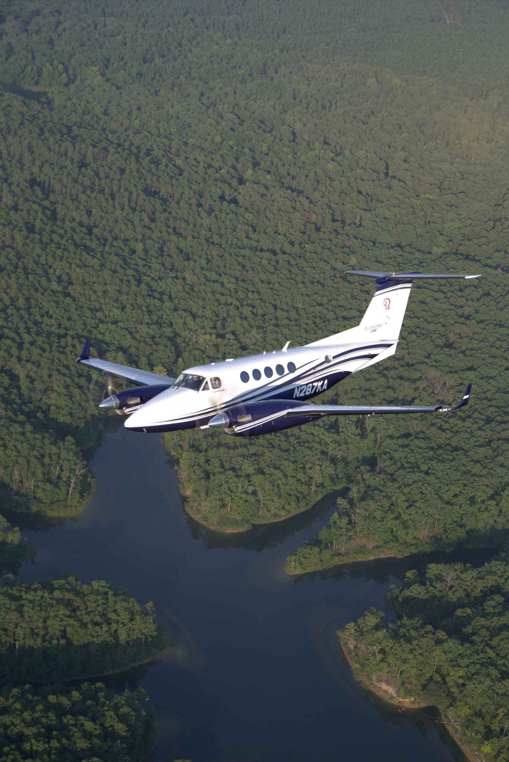 Beechcraft King Air, Private jet hire, Luxury air travel, Executive aviation, 1710x2560 HD Phone