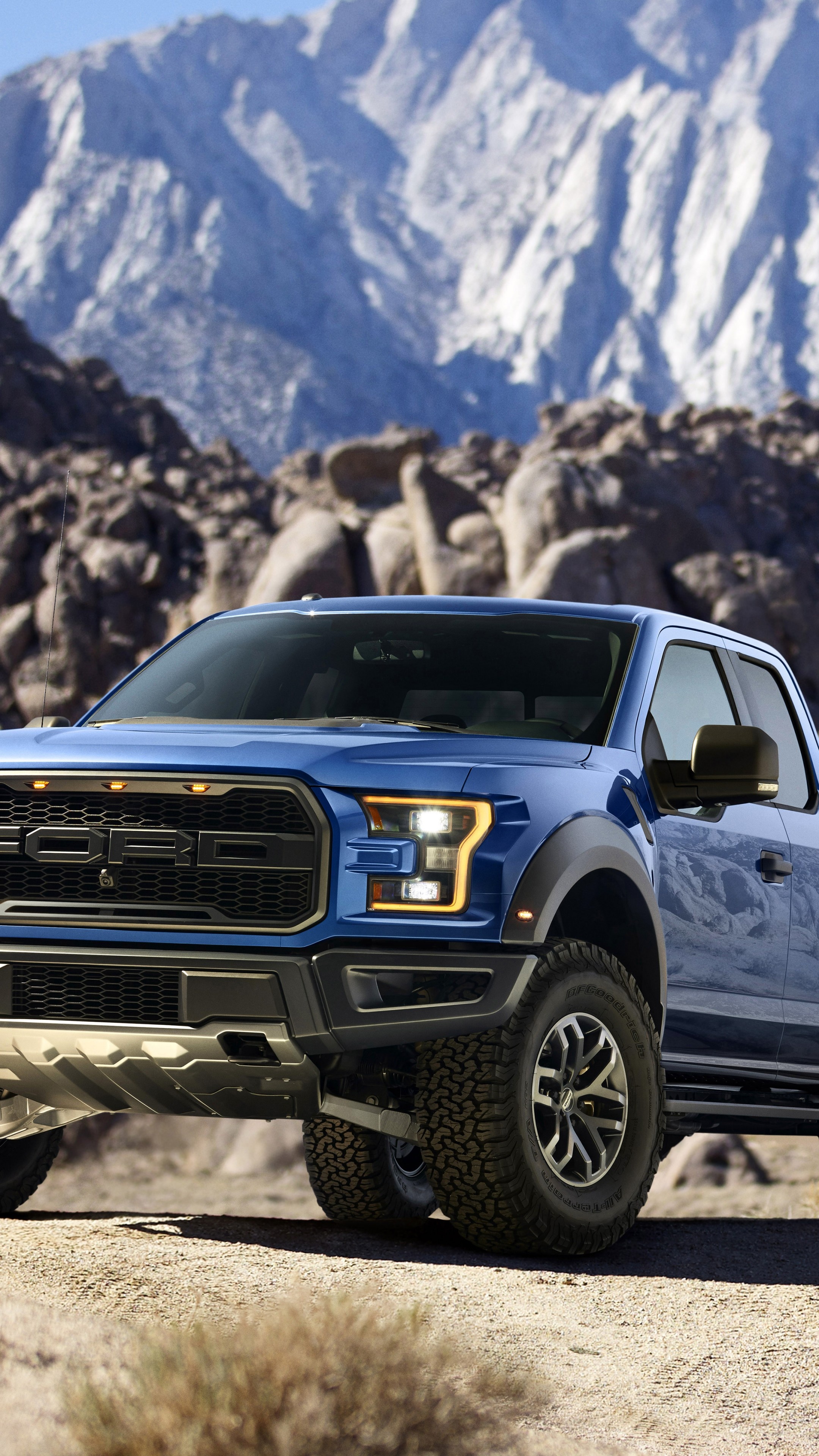 Ford Pickup: F-150 Raptor, 2015 Detroit Auto Show, Cars, Motor vehicle. 2160x3840 4K Background.