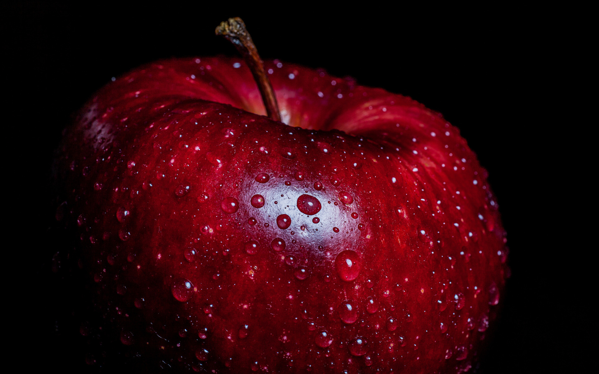 Apple (Fruit): The most widely grown species in the genus Malus, Macro. 1920x1200 HD Background.