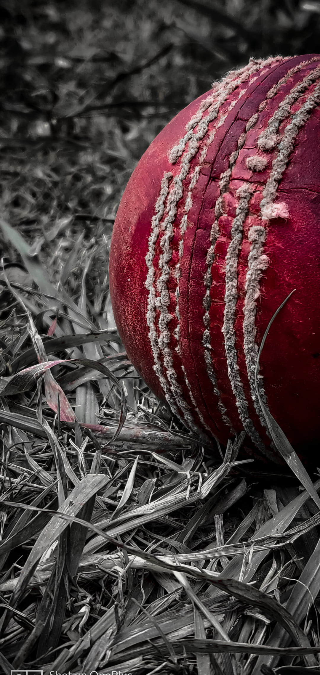 Cricket: Monochrome first-class cricket ball, Manufacture is strictly regulated by cricket law. 1080x2280 HD Background.