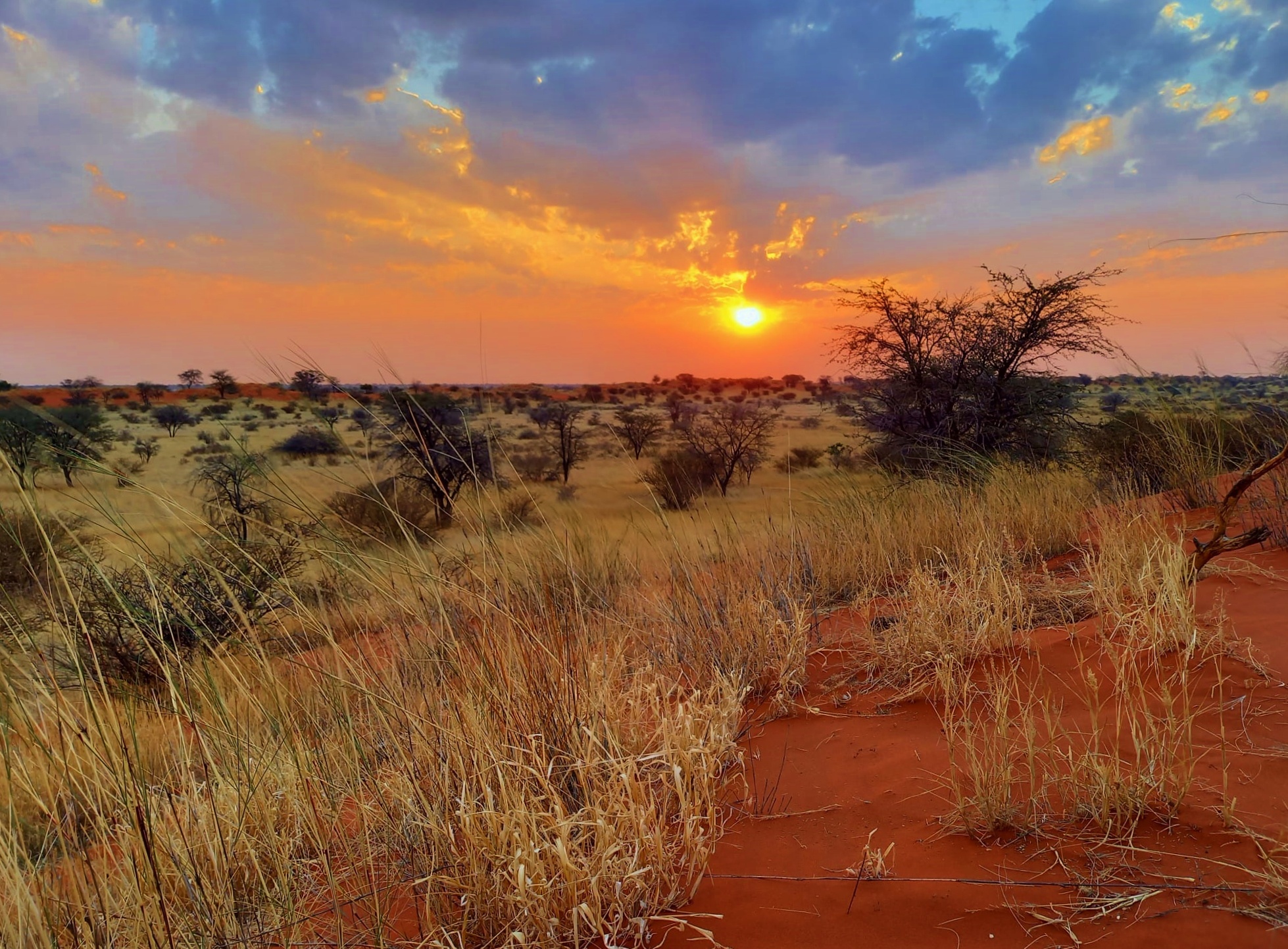 Kalahari Desert, Namibia, Land of contrasts, 1960x1450 HD Desktop