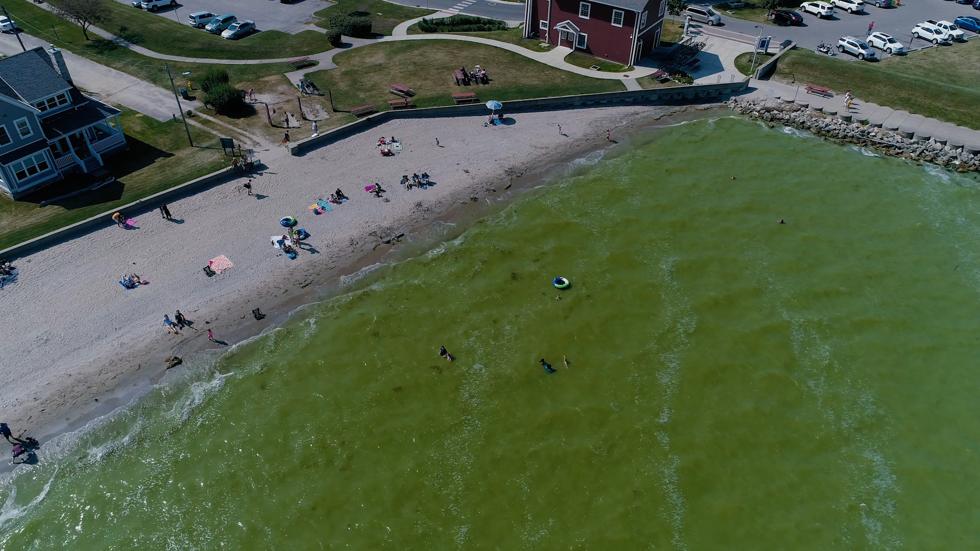 Lake Erie, Algae bloom forecasted, Great Lakes region, Natural phenomenon, 1920x1080 Full HD Desktop