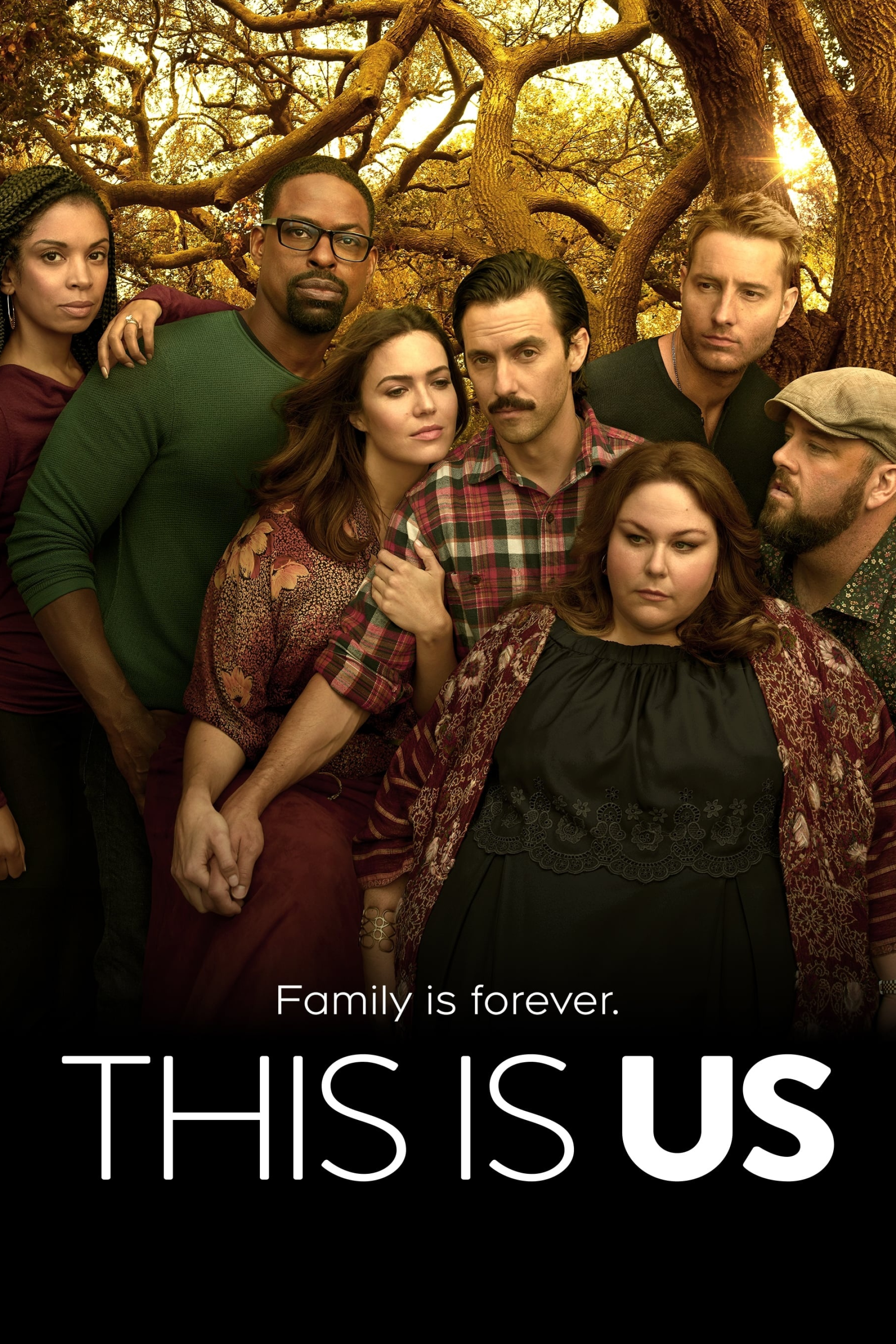 This Is Us, The Movie Database, 2000x3000 HD Phone