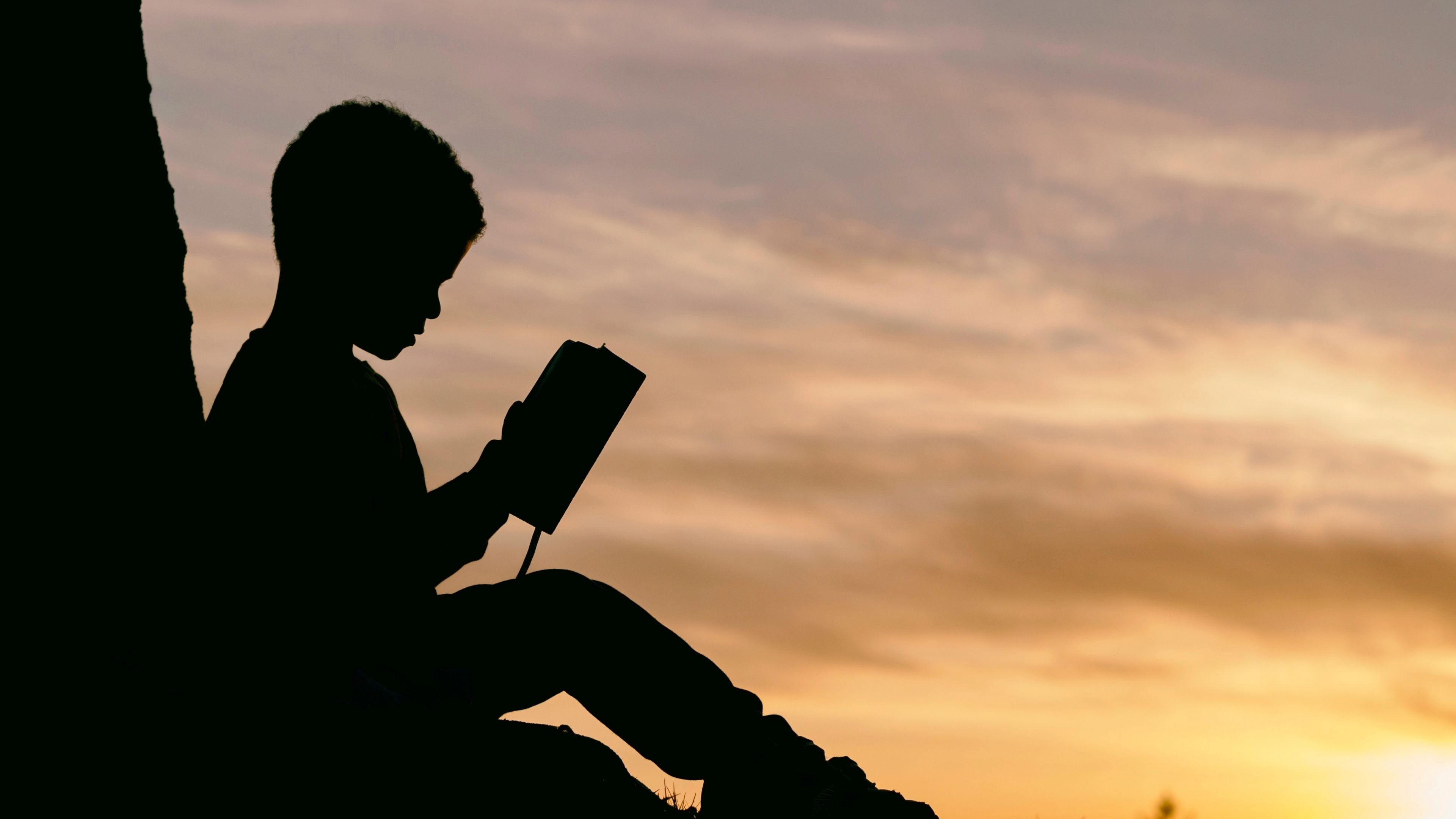 Childhood dreams, Silhouetted reading, Sunset escapades, Fish-shaped stories, 3840x2160 4K Desktop