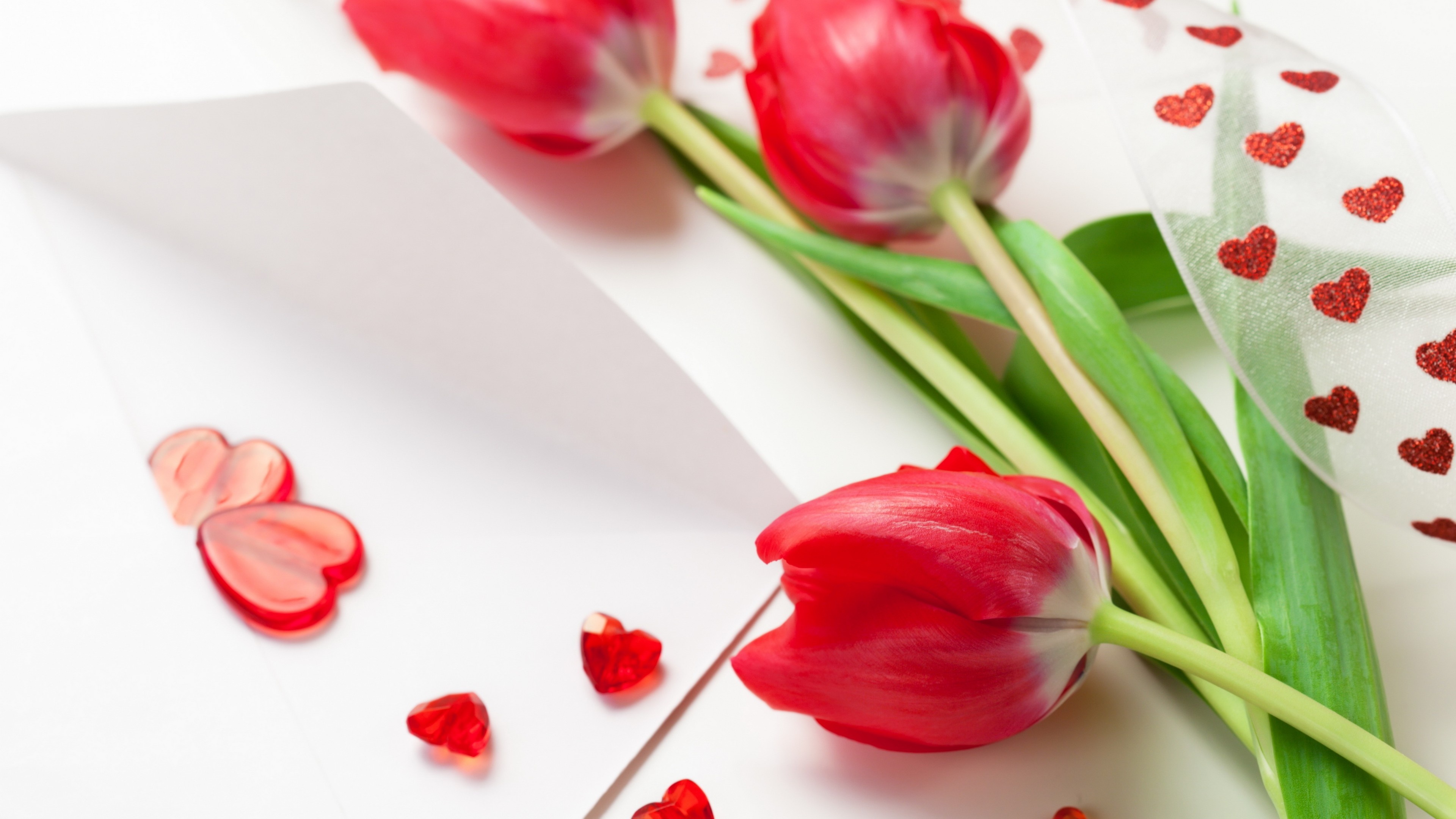 Hearts and Flowers, Red tulip, Love and nature, Spring beauty, 3840x2160 4K Desktop