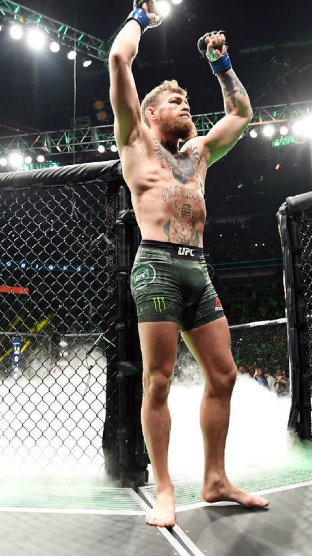 Conor McGregor: Tied for second-most Performance of the Night awards in UFC history. 1080x1920 Full HD Wallpaper.