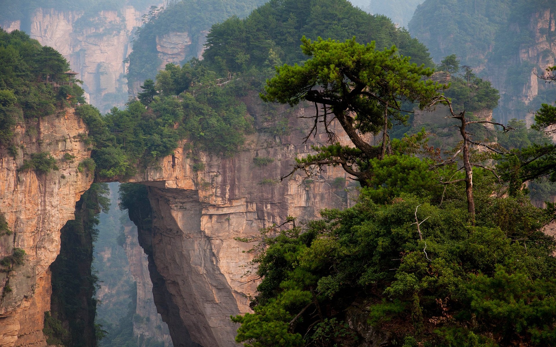 Zhangjiajie National Forest Park, Enchanting scenery, Majestic peaks, Nature's sanctuary, 1920x1200 HD Desktop