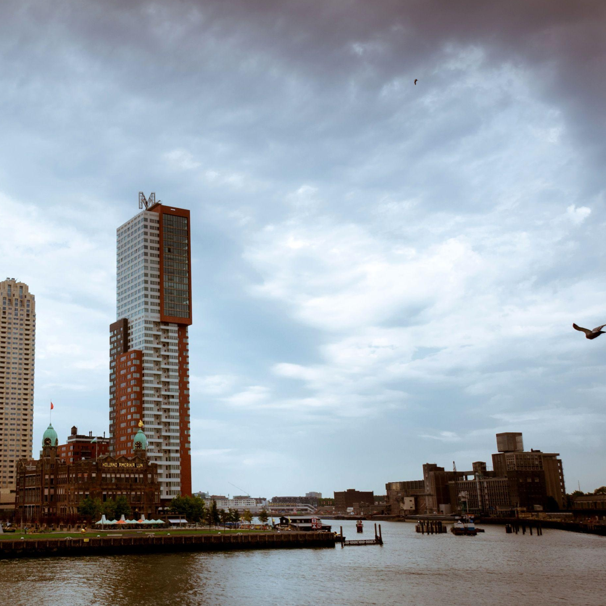 Rotterdam Skyline, Travels, Wallpapers, 2050x2050 HD Phone