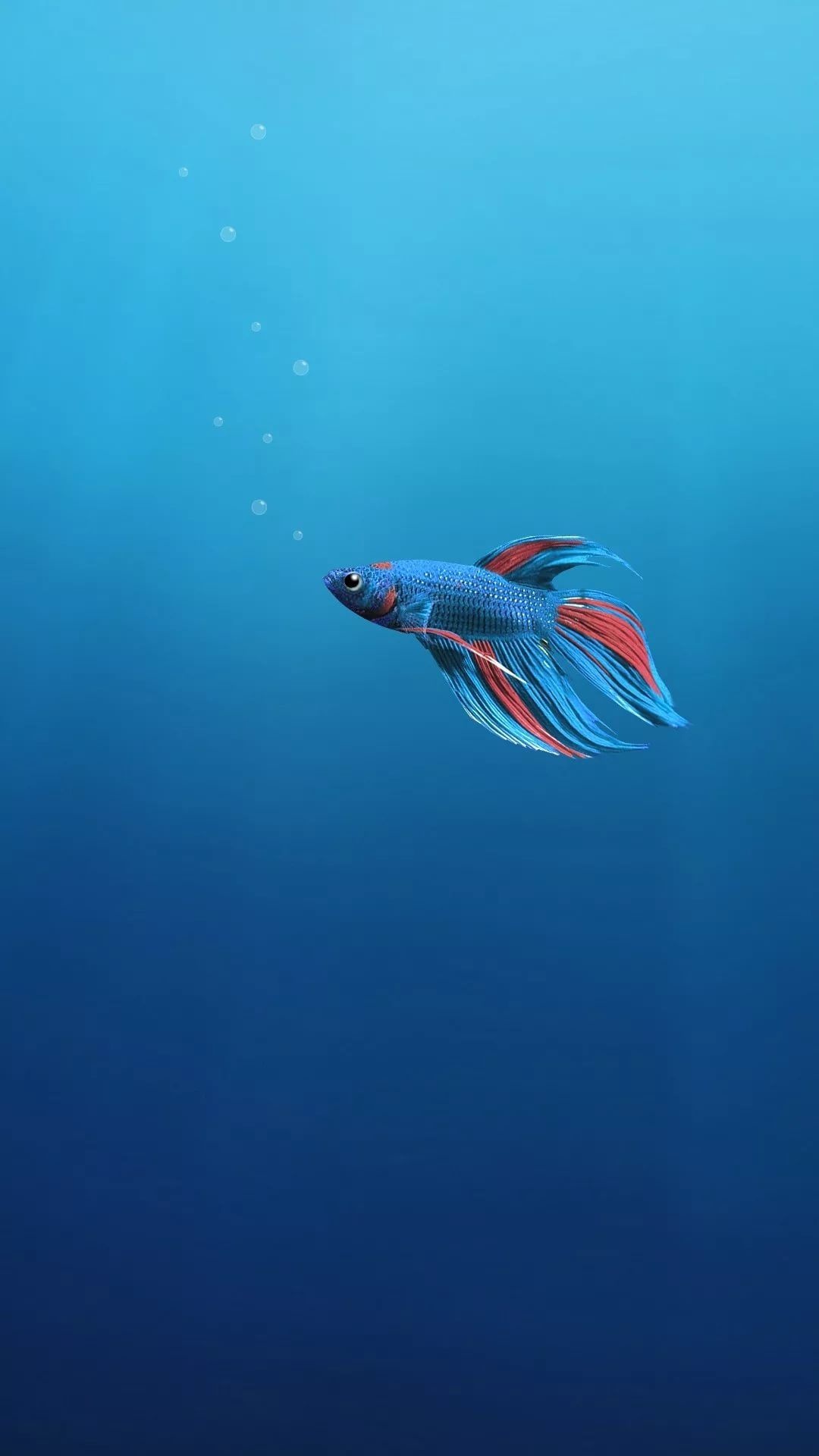 Tropical fish iPhone wallpapers, Free and stunning, Mesmerizing aquatic creatures, Tropical paradise, 1080x1920 Full HD Handy