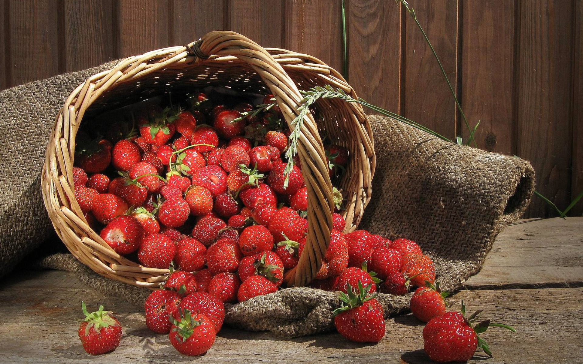 Strawberry: The scientific name is Fragaria ananassa, Natural foods. 1920x1200 HD Background.