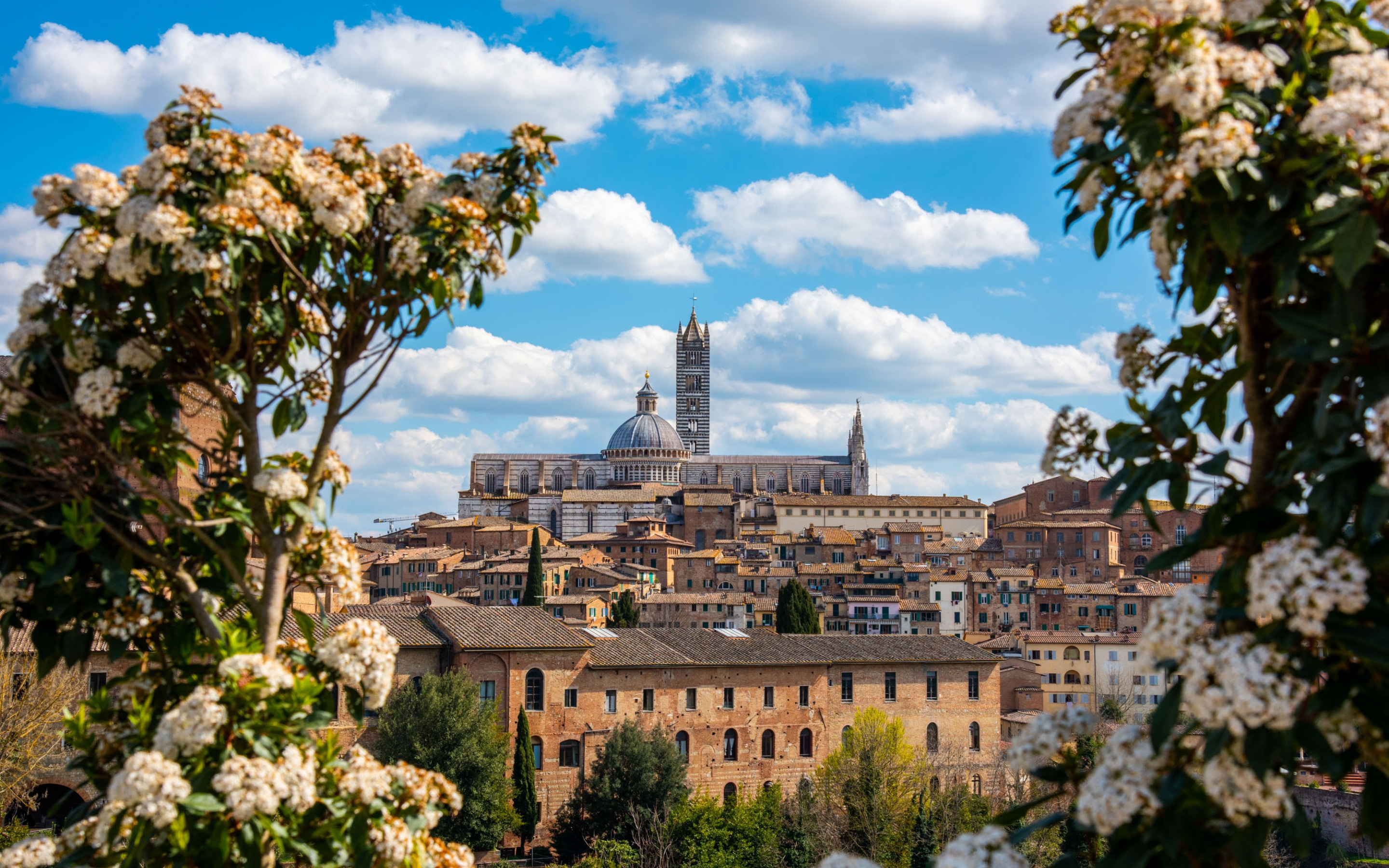 Siena Cathedral, Torre del Mangia, Summer in Siena, Italian cityscape, 2880x1800 HD Desktop